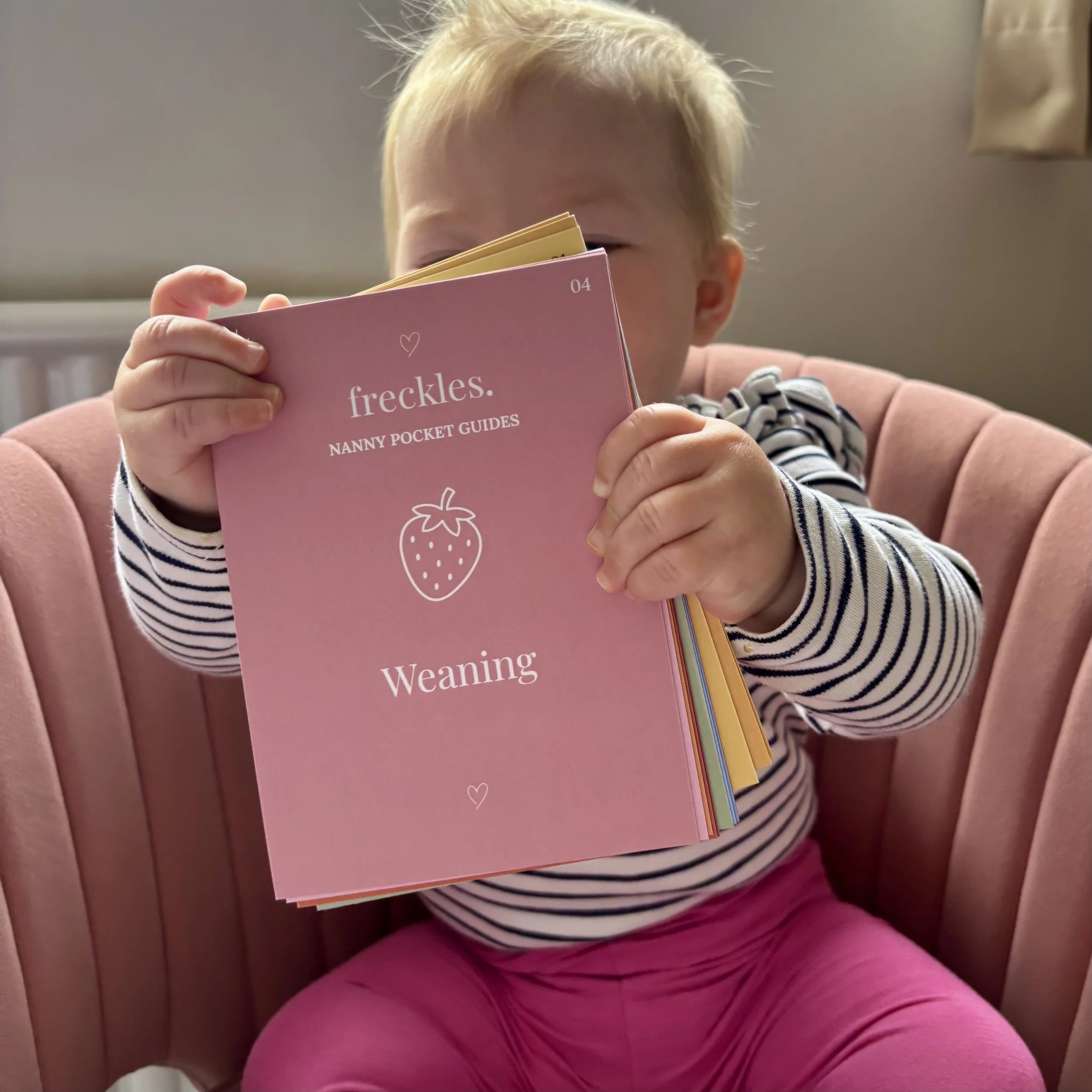 Nanny Pocket Guide - Baby 2.jpg