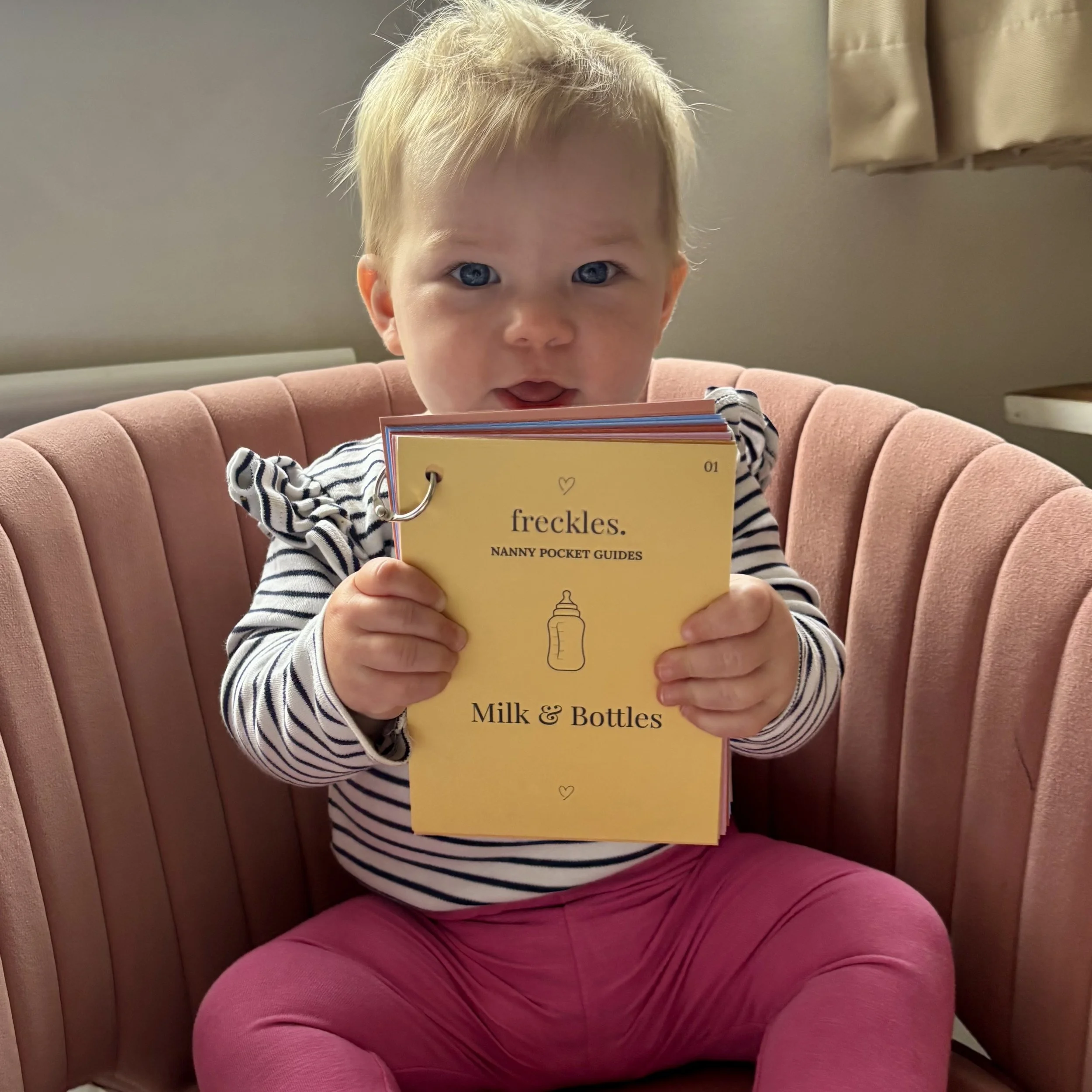 Nanny Pocket Guide - baby.jpg