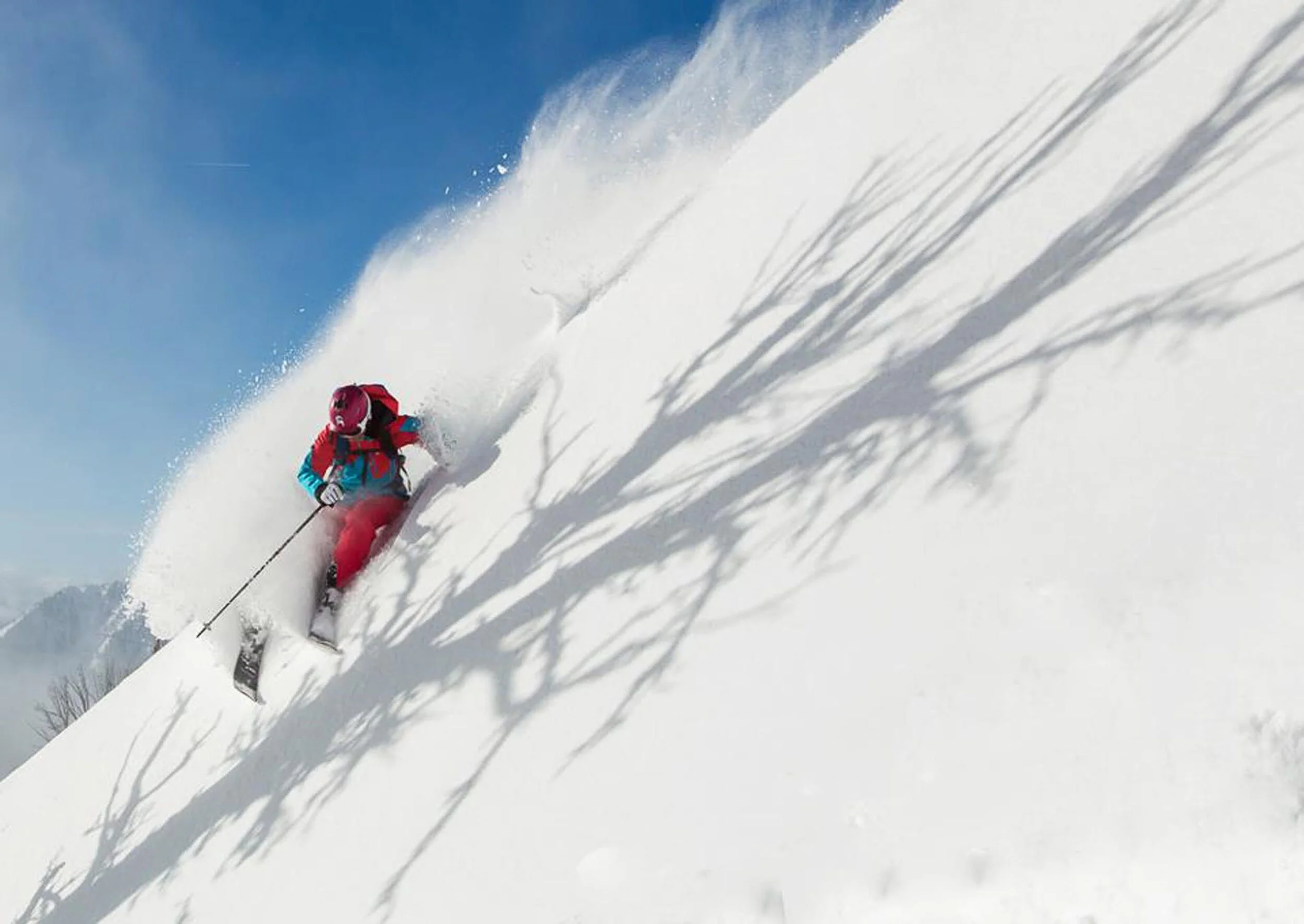 Kim Havell powder 3.jpg