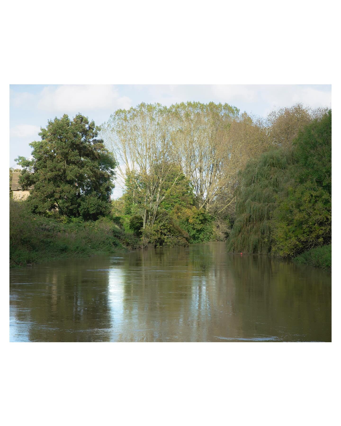 Reybridge, 17/10/2024

2nd visit to the River Avon as part of my ongoing project looking at how Climate Change and other environmental issues are effecting the river and the surrounding communities.
