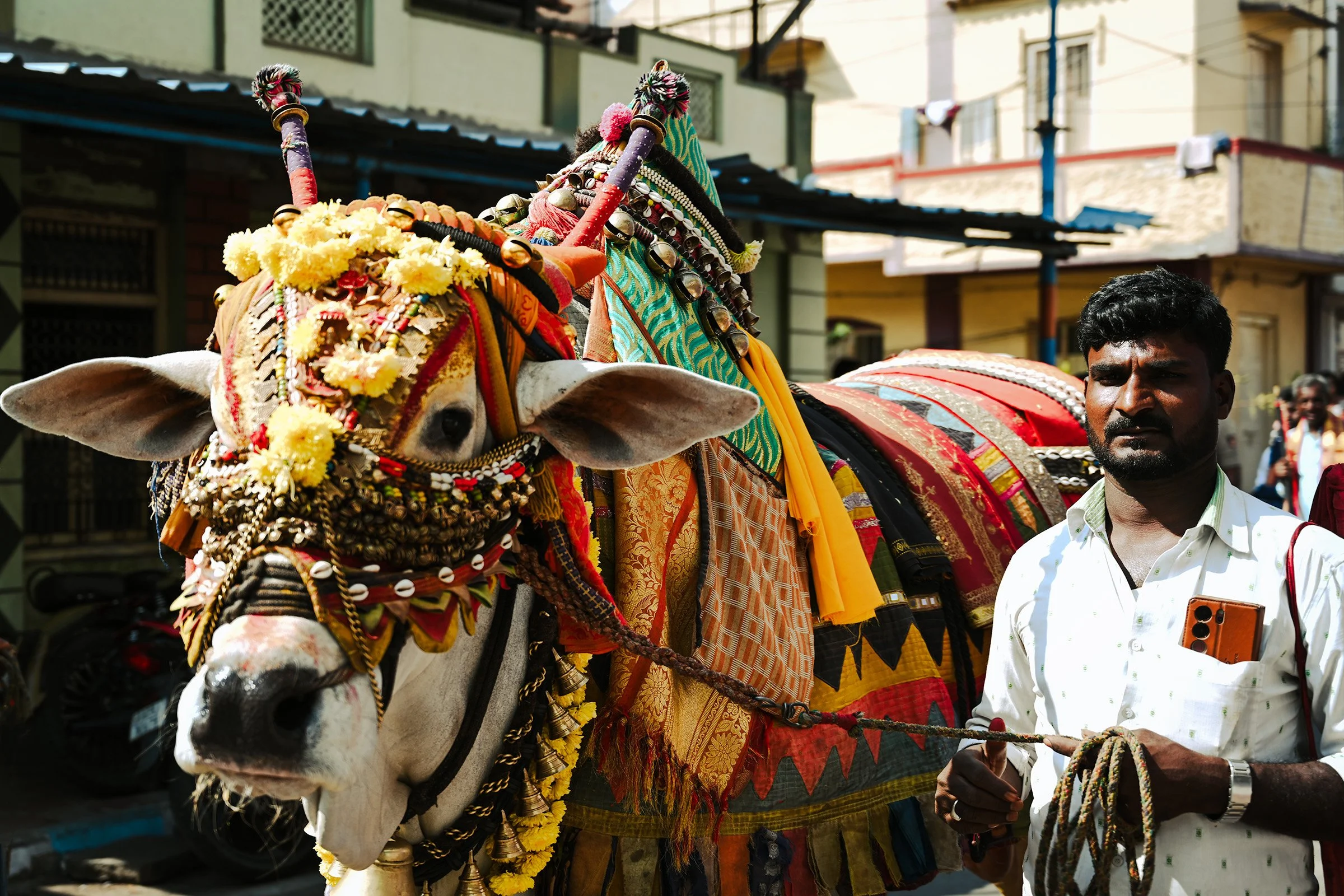 The festival of Pongol, Kerala, giving thanks for the harvest.