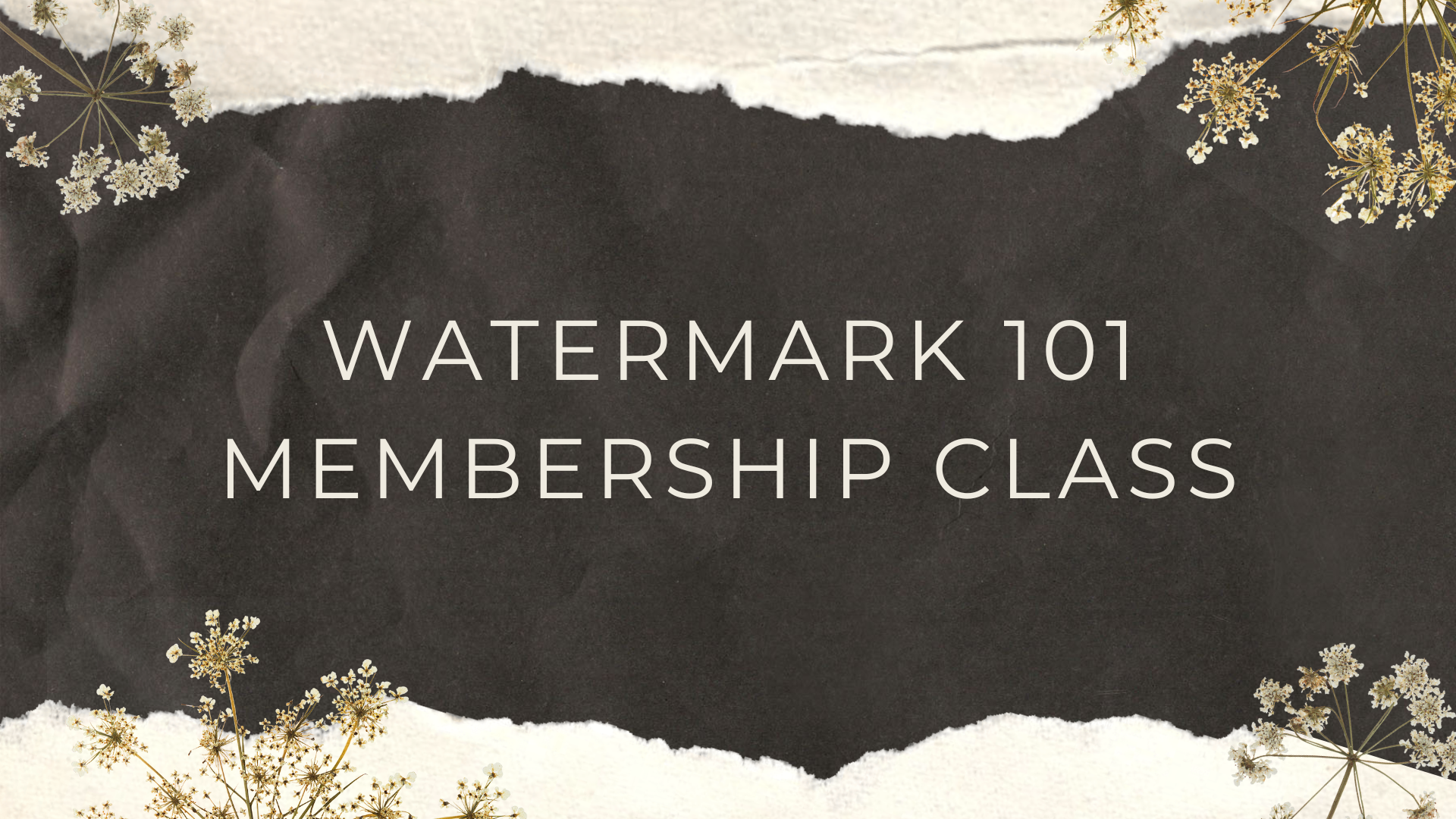 Watermark 101 Memership Class
