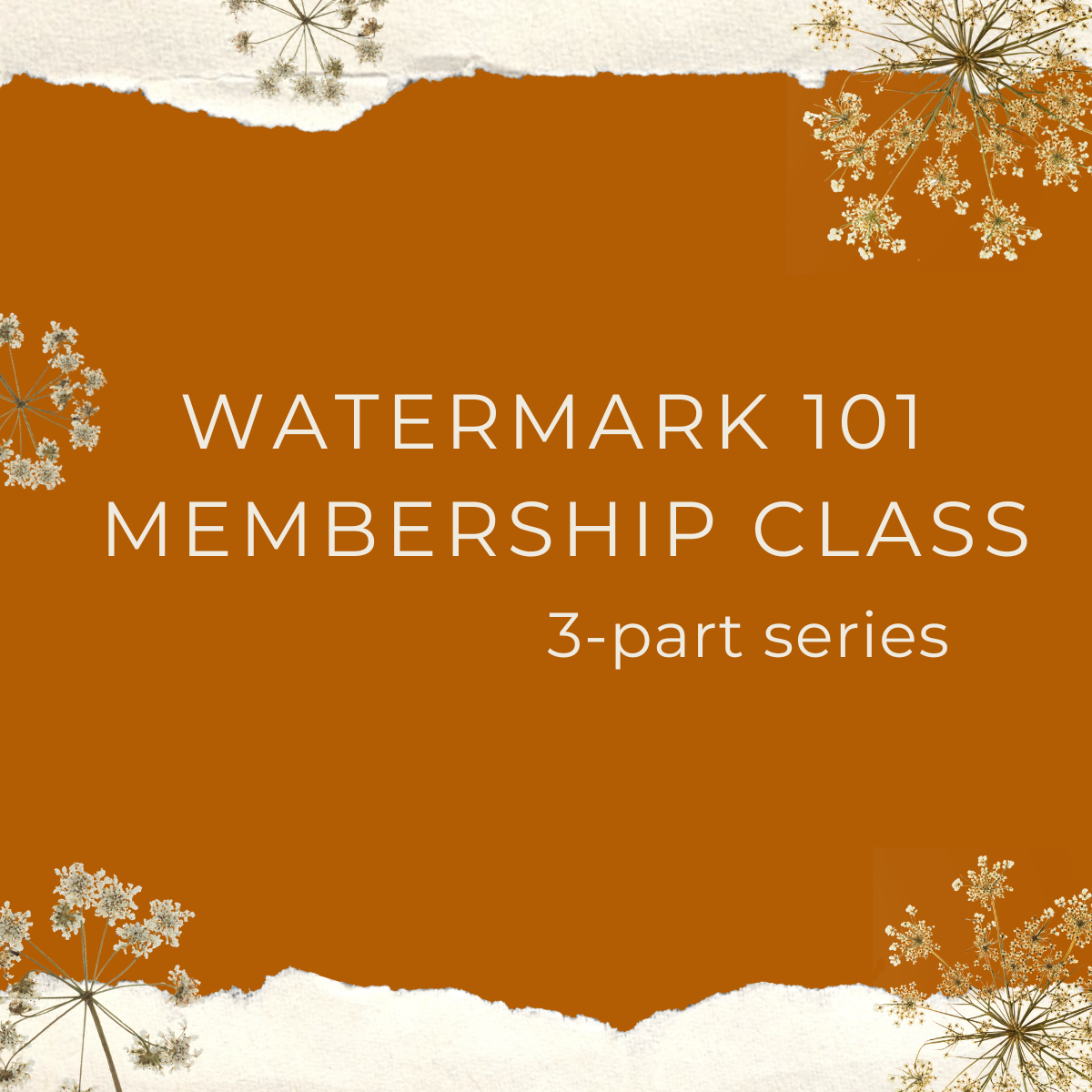 WM 101 Membership Class - Part 1