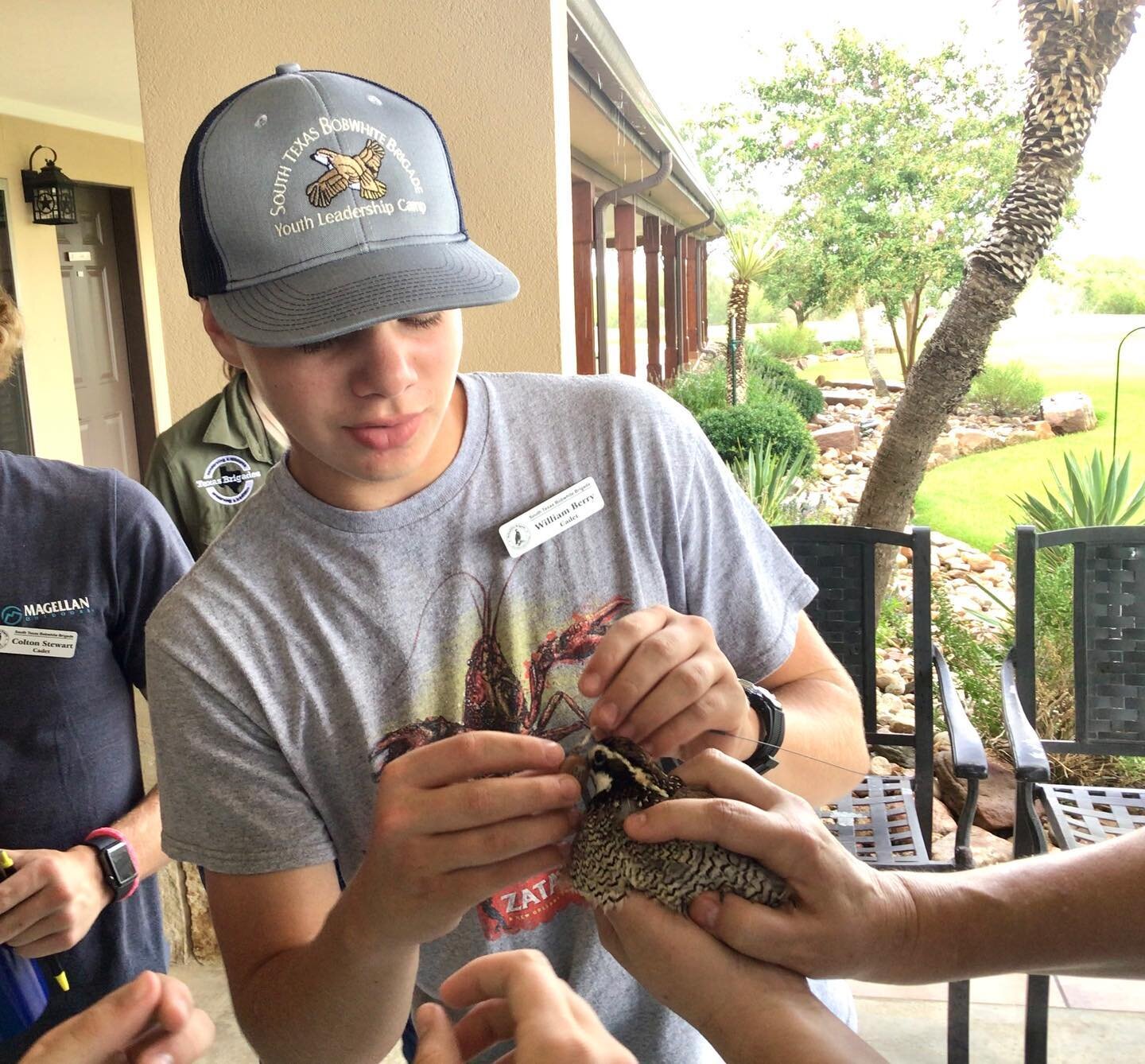 Camp Highlight &mdash; South Texas Bobwhite Brigade

The 24th Battalion of South Texas Bobwhite Brigade took place June 18-22 in McCoy, TX. Cadets learned all about bobwhite ecology and management, and in addition, received experience with a variety 