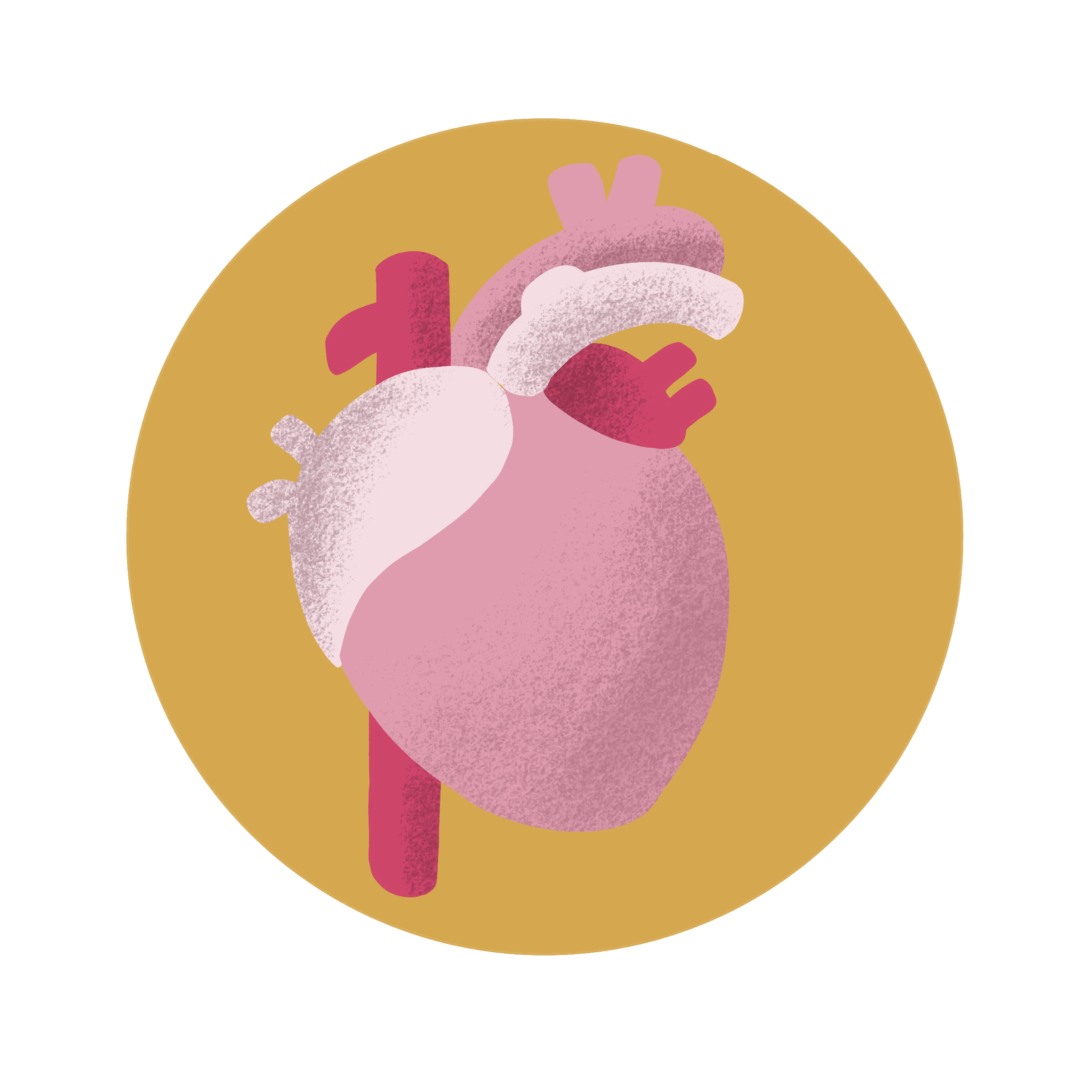 Digital illustration of heart, by illustrator Yen Azzaro