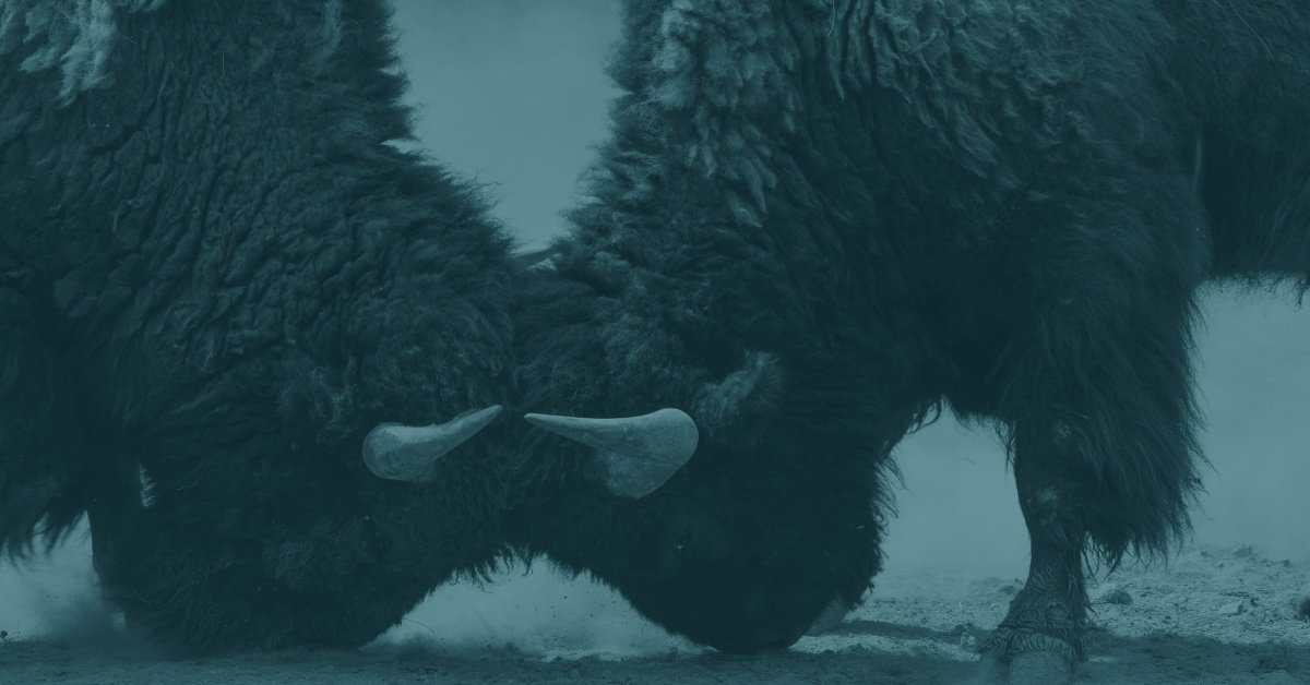 Ha rätt konflikter - inte färre 