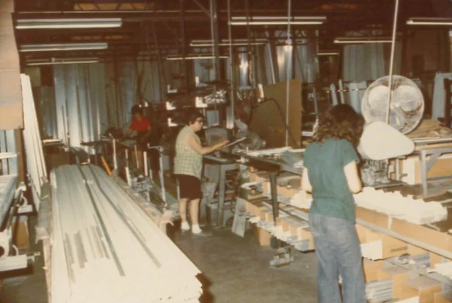 Polaris window plant