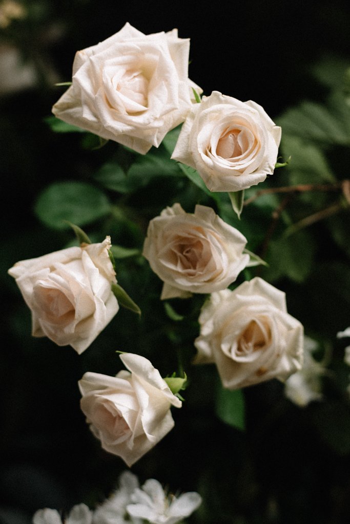 Hannah Jones Reportage Fine Art Film Wedding Photography in London