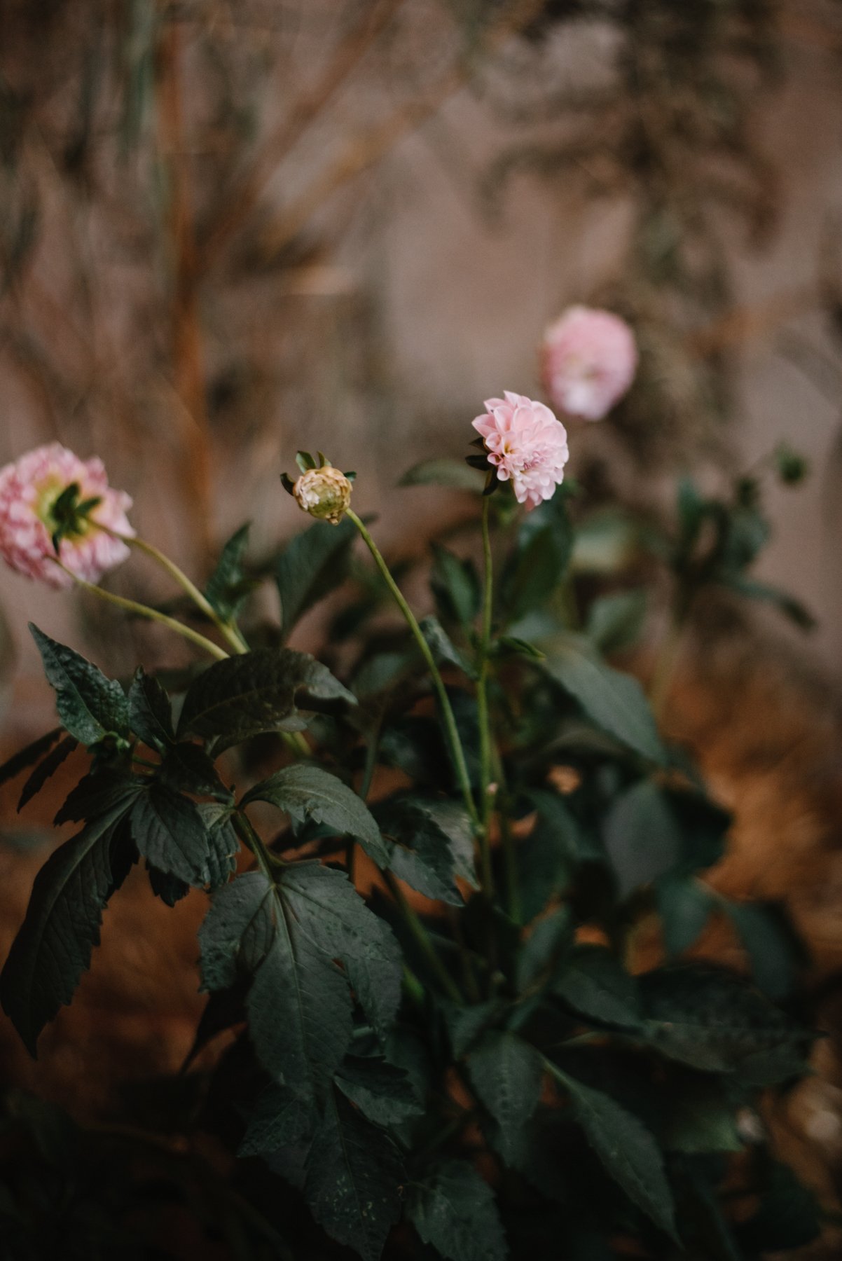 Hannah-Jones-Weddings_J+I-110.jpg