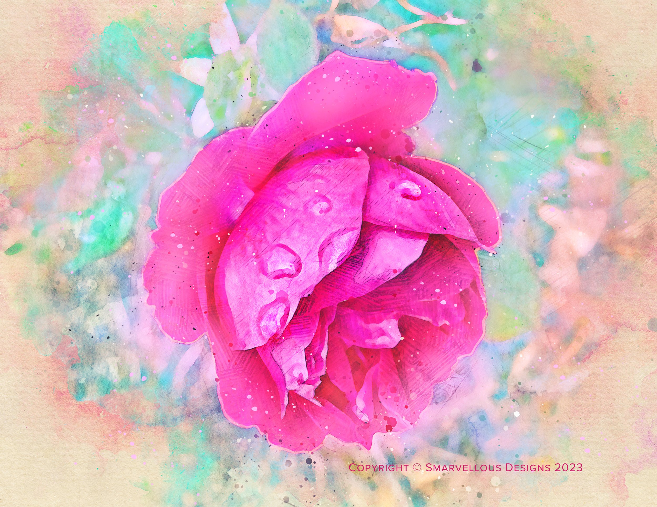Roses.jpg