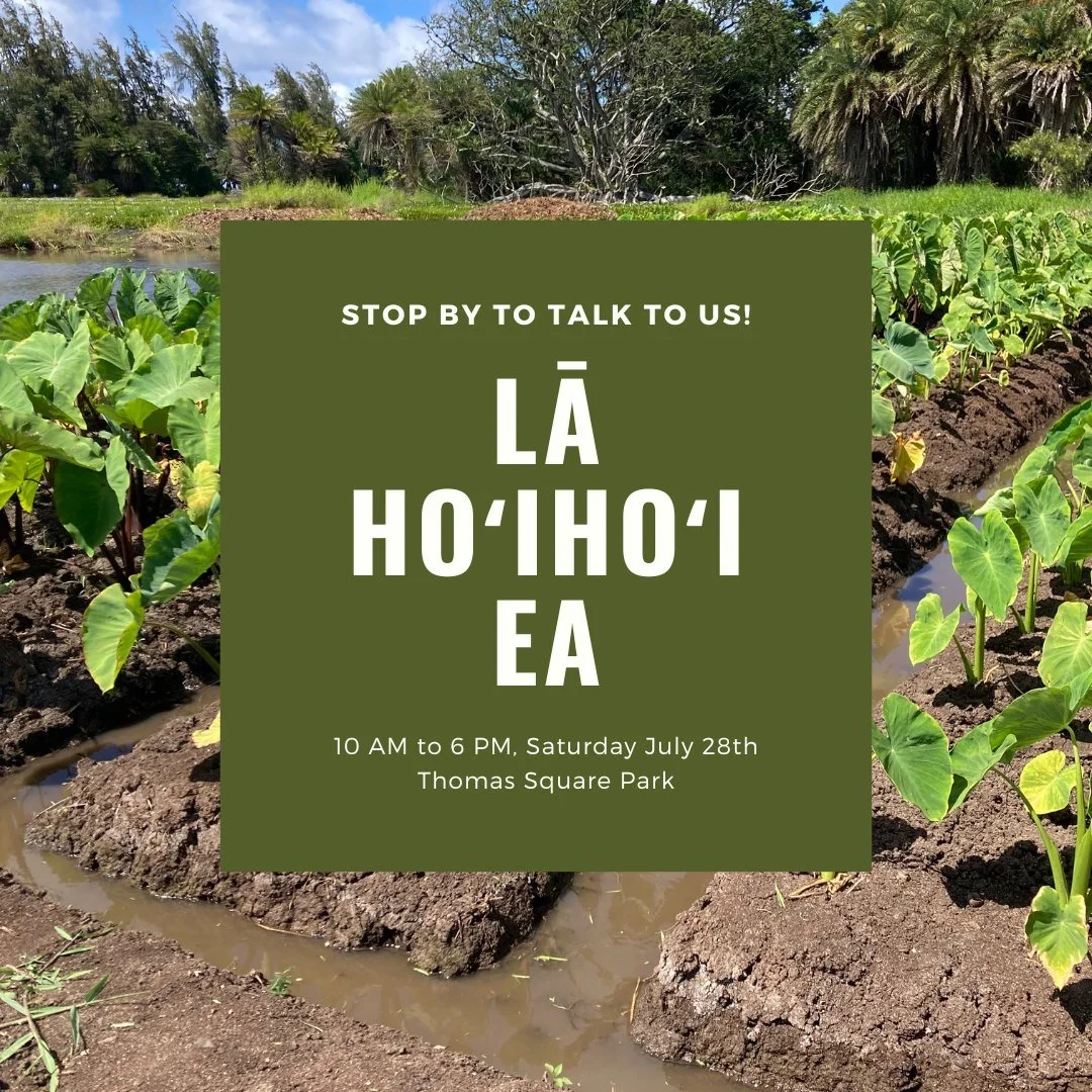 Join us at Lā&nbsp;Hoʻihoʻi Ea, Sunday July 28th, Thomas Square