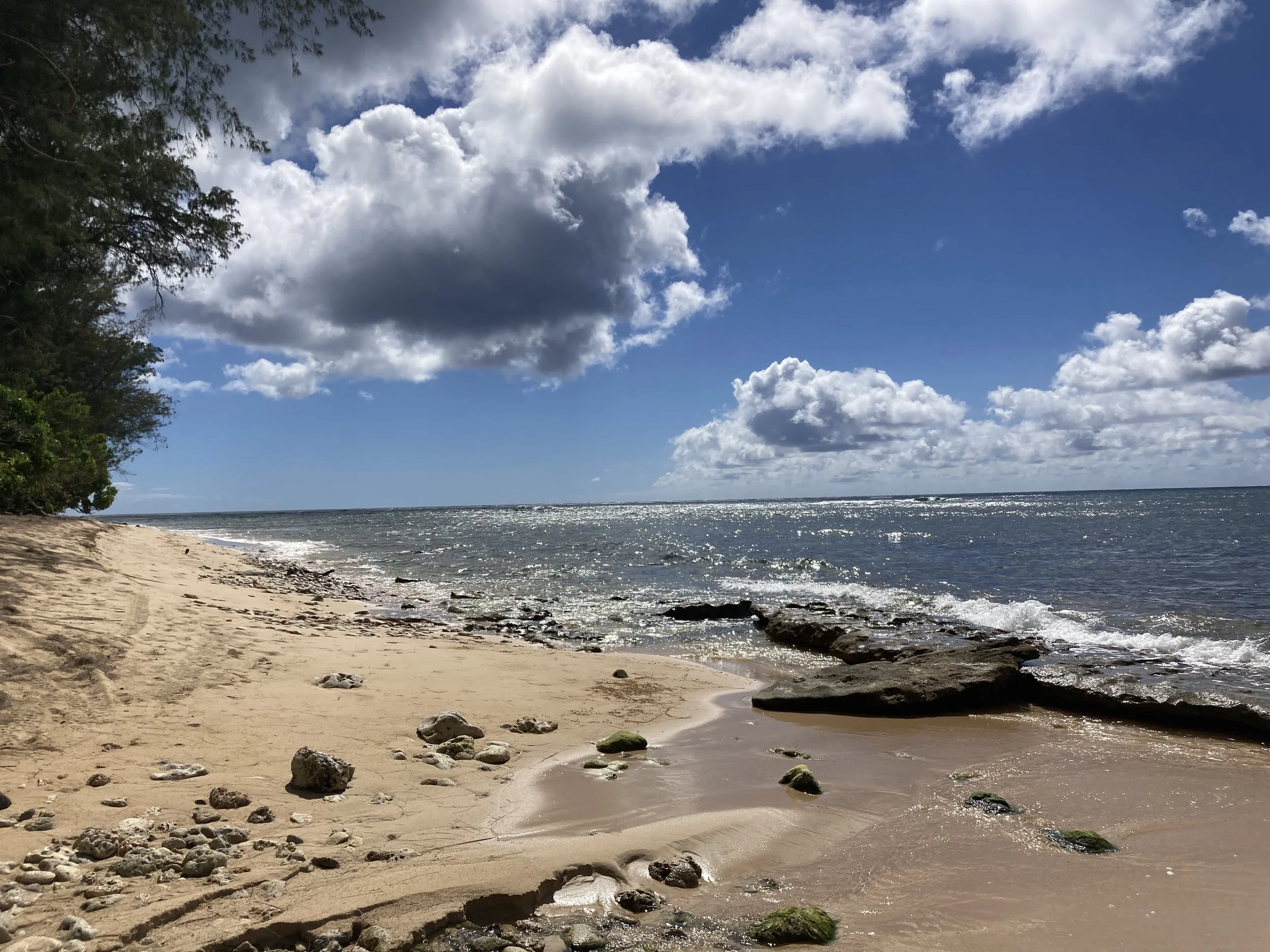 The Waialeʻe Runaway Who Swam Out to Sea