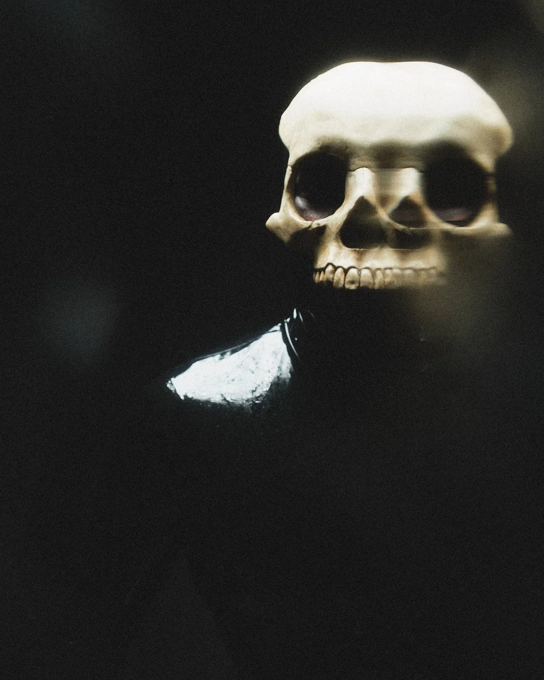 Pro-Capture One 0014.jpg