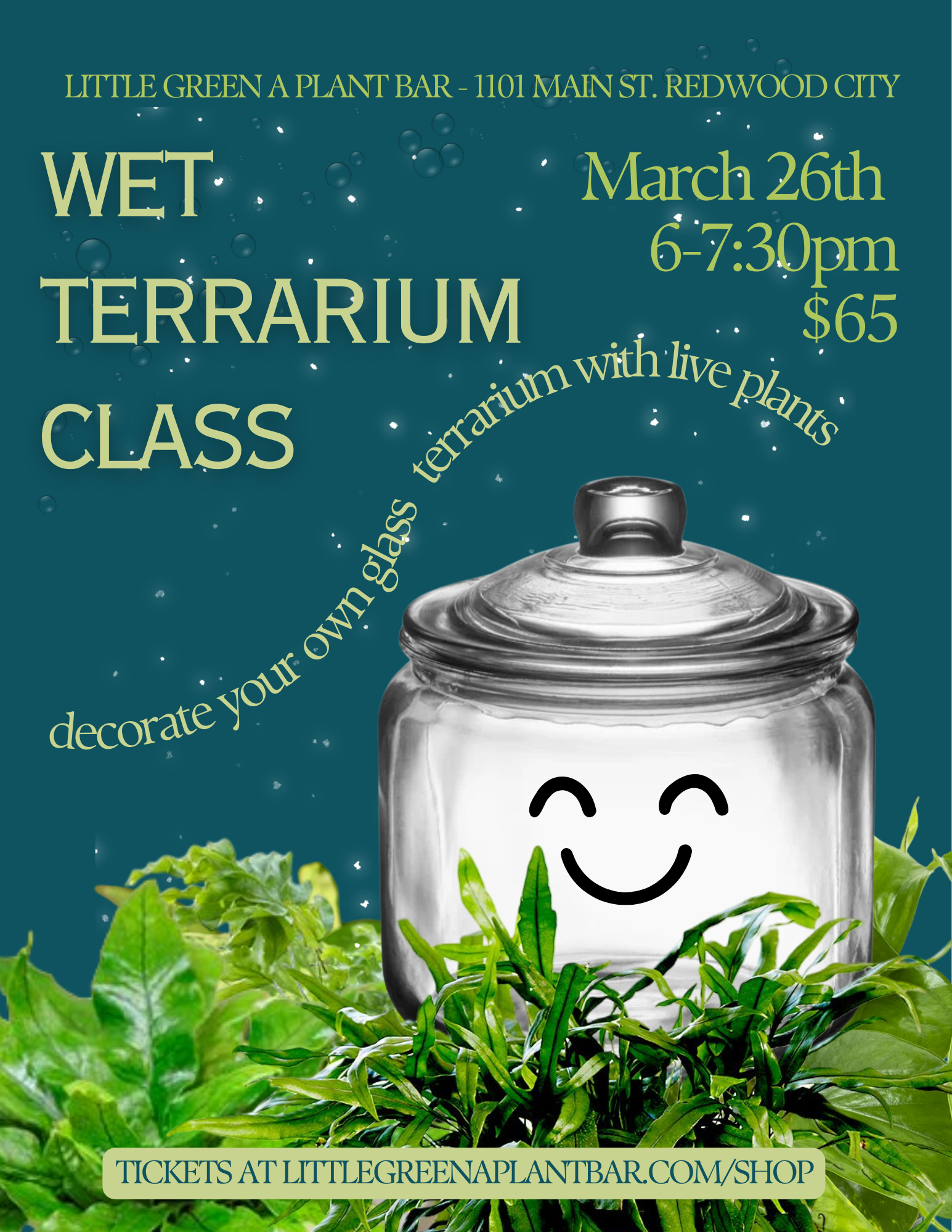 Wet Terrarium Class (2).png
