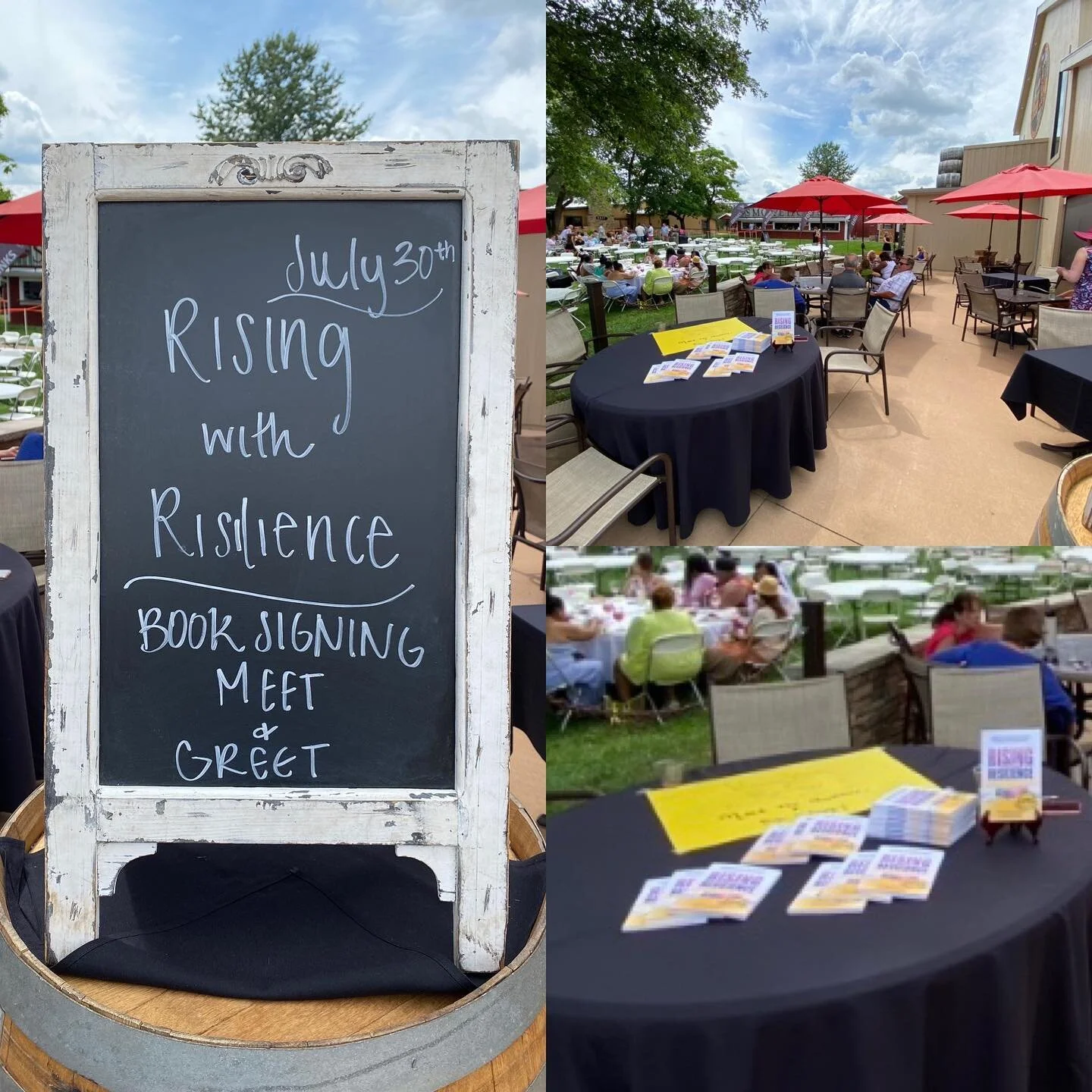 Book celebration at Cedar Lake Cellars!🎉 So grateful for these people and thankful for beautiful weather!💛 Many thanks to @npscags for a memorable event!💜#risingwithresilience #imbatutto