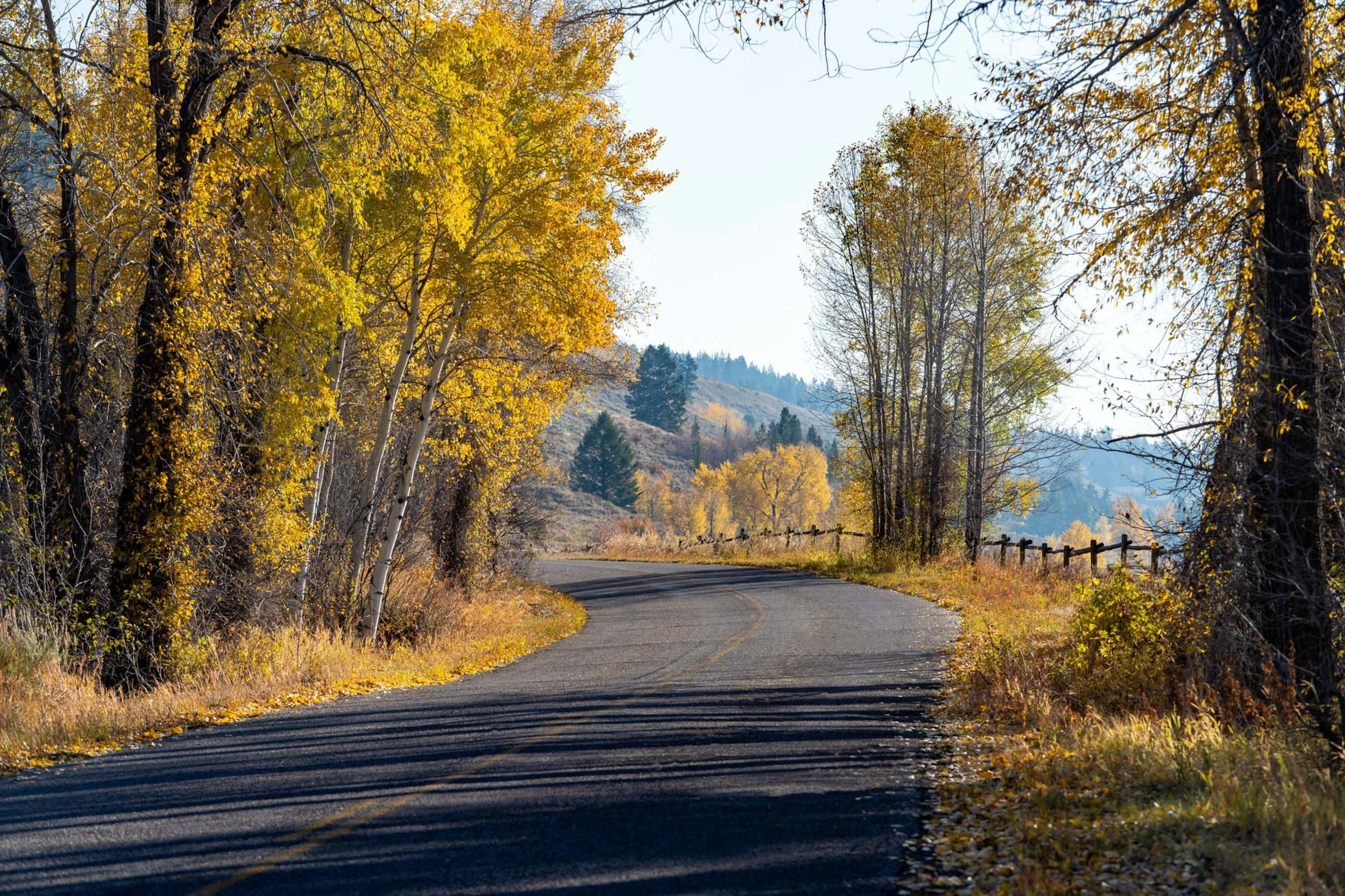 Landscapes_035.jpg