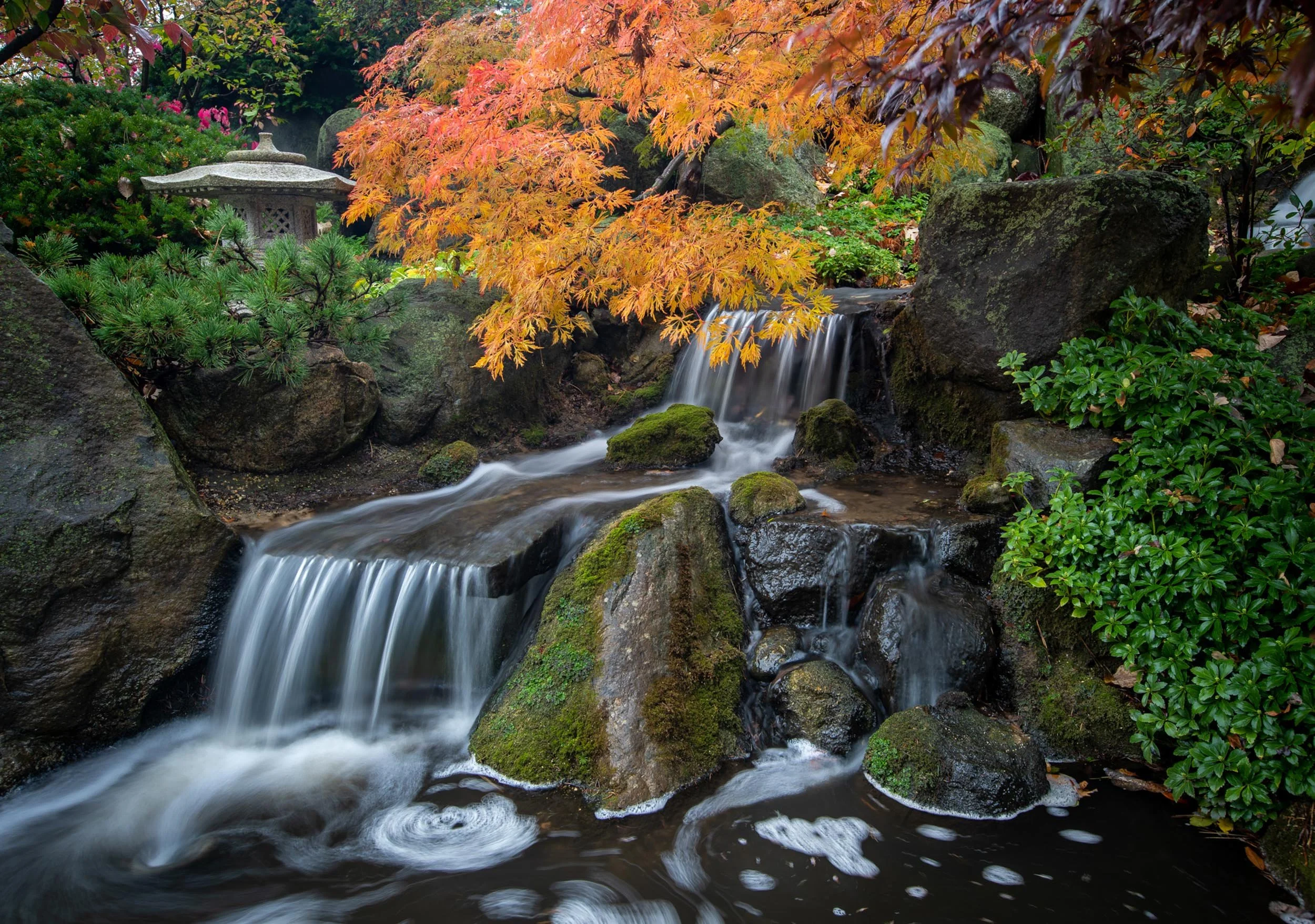 Landscapes_037.jpg