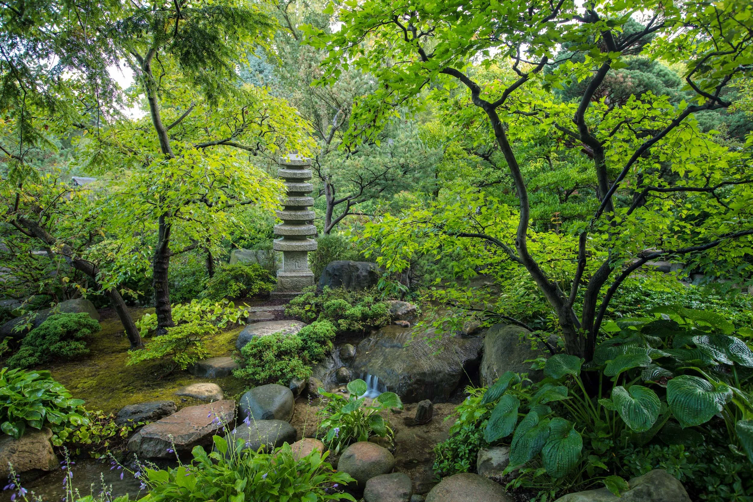 Landscapes_013.jpg