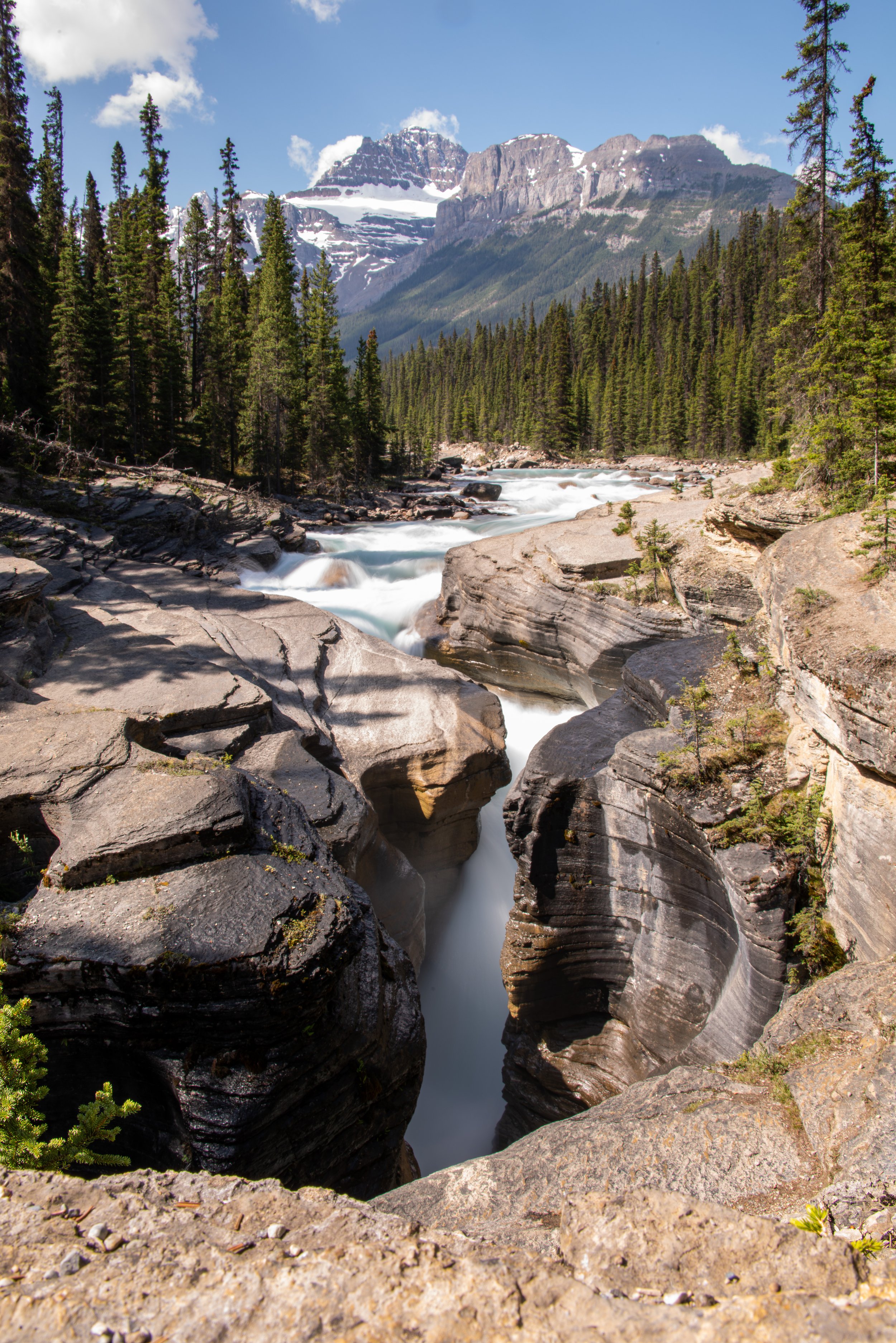 _DSC5109-Enhanced-NR.jpg