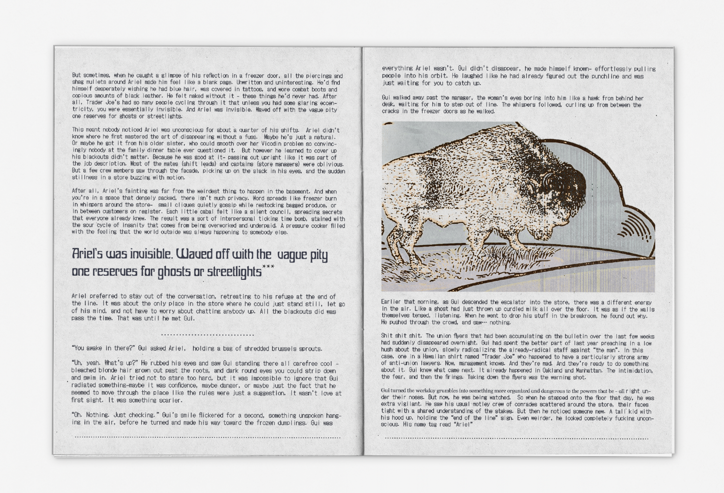 spread 3.png