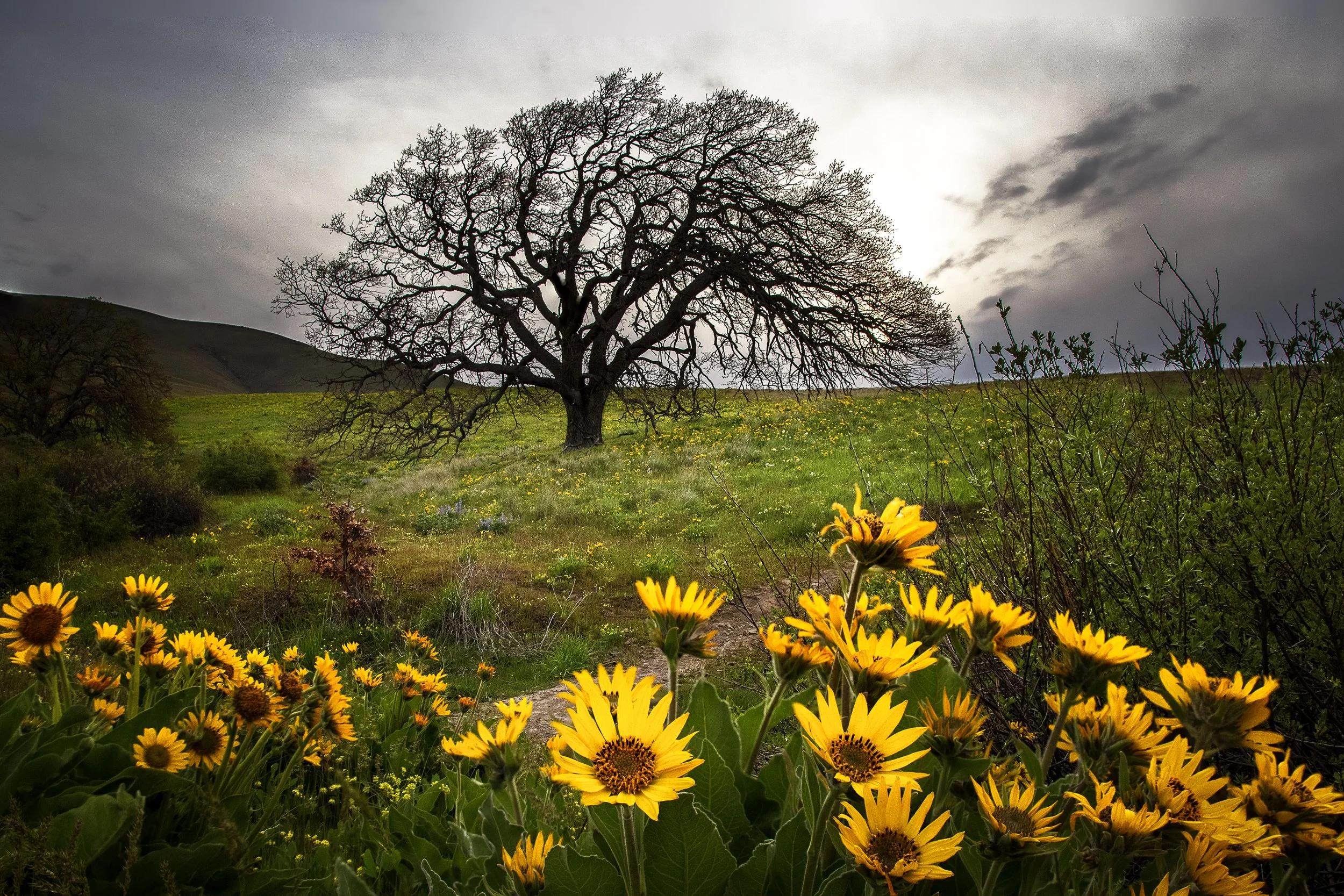 DSC_6420-HDR-Edit-Edit.jpg