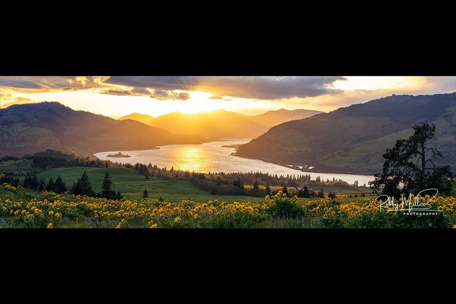 balsamroot-sunset-columbia-gorge-robbymiller.jpg