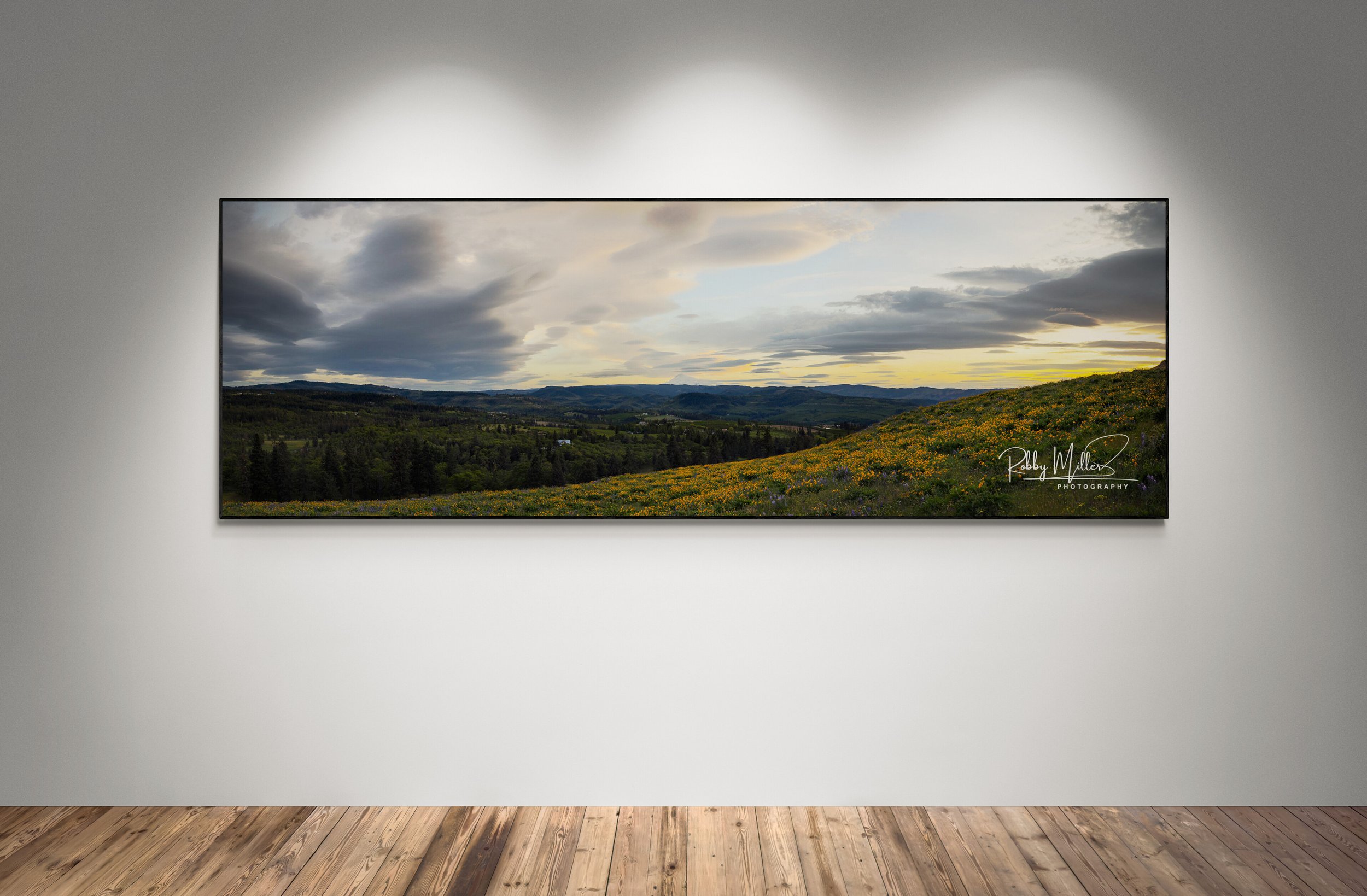 Lenticular_Sunset_at_Memaloose_art-gallery-wall.jpg