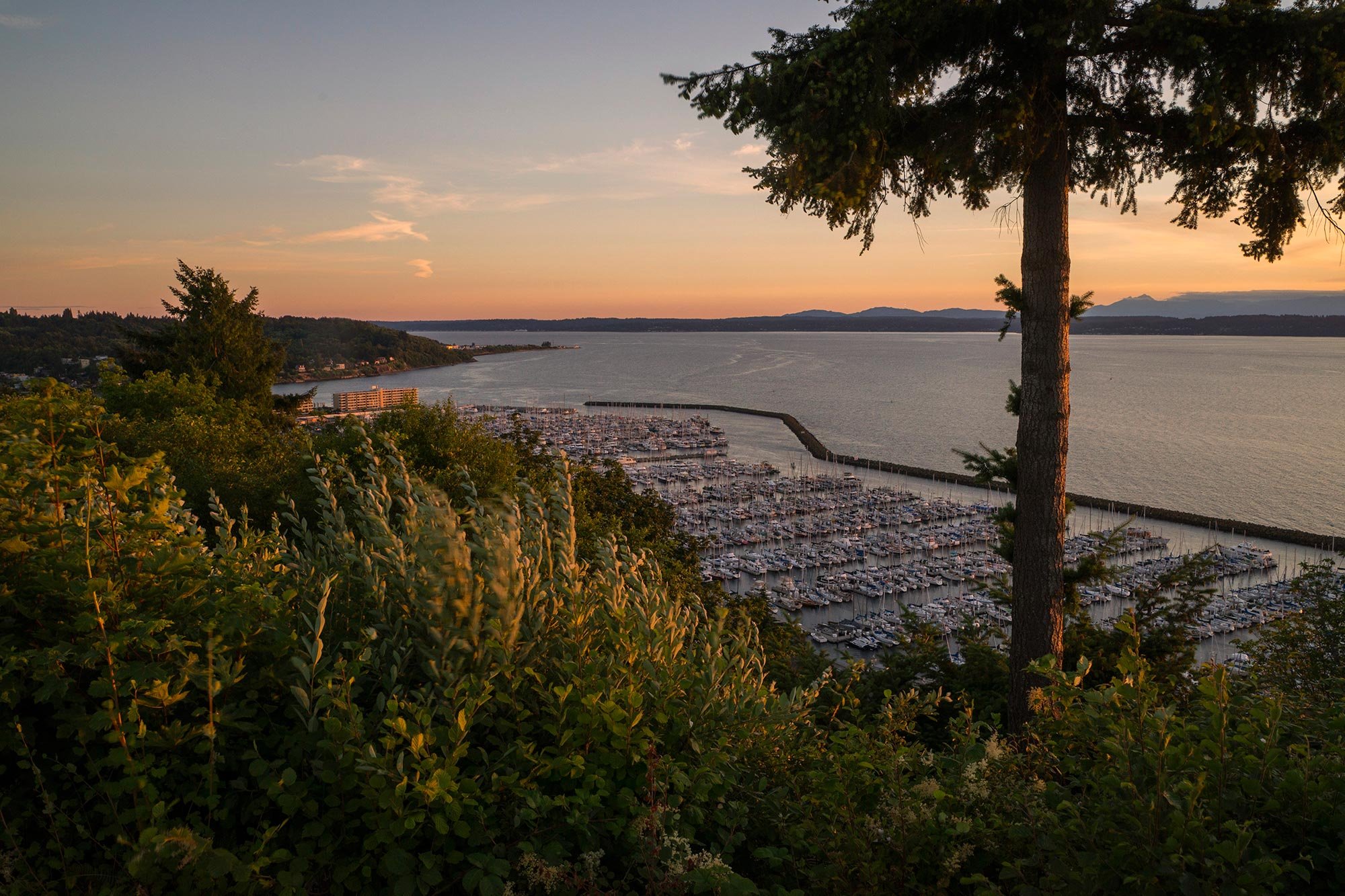 Sunset Hill Park (photo by Seattle Parks)