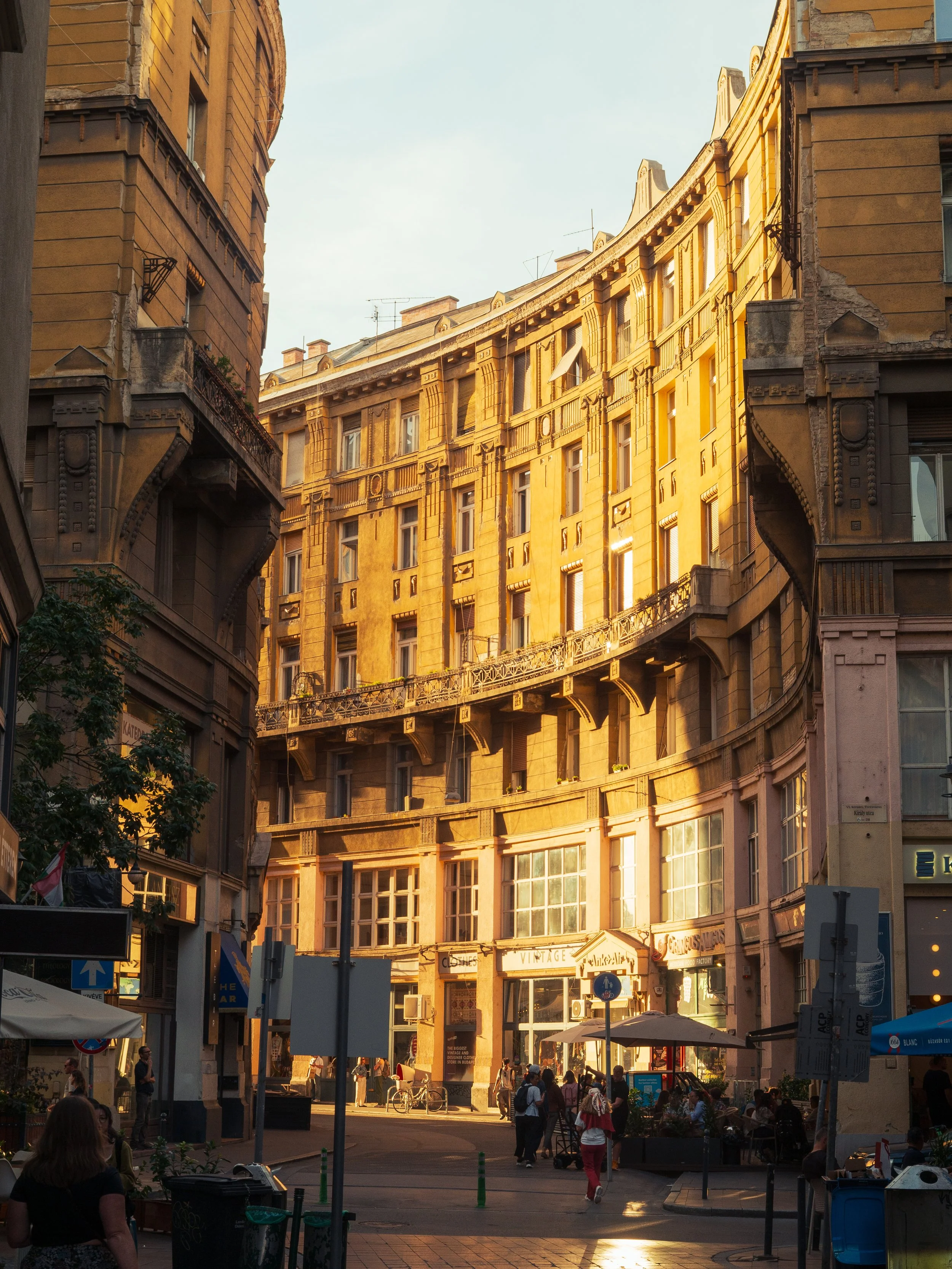 P1010856.jpg