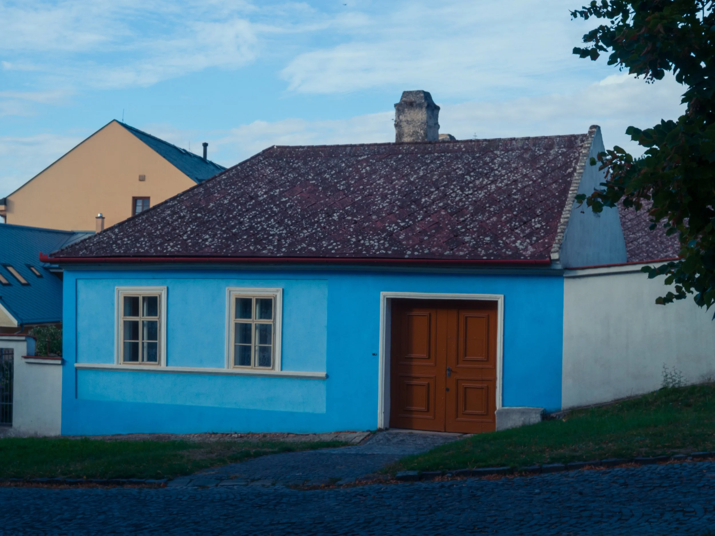 P1010926.jpg