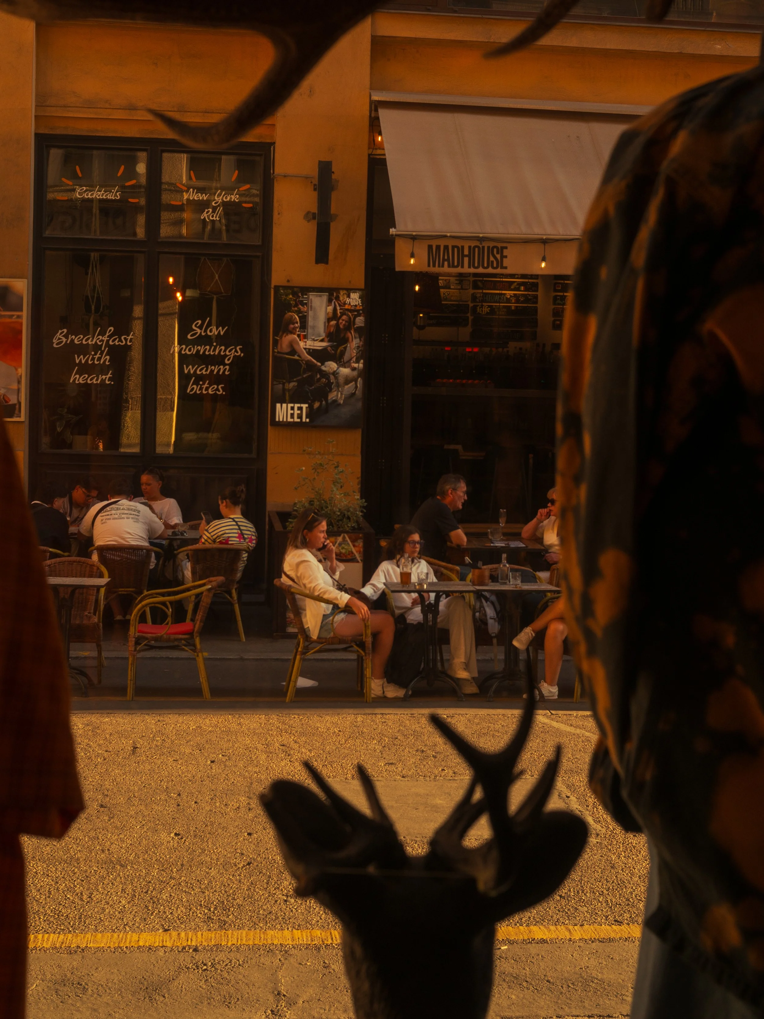 P1010862.jpg