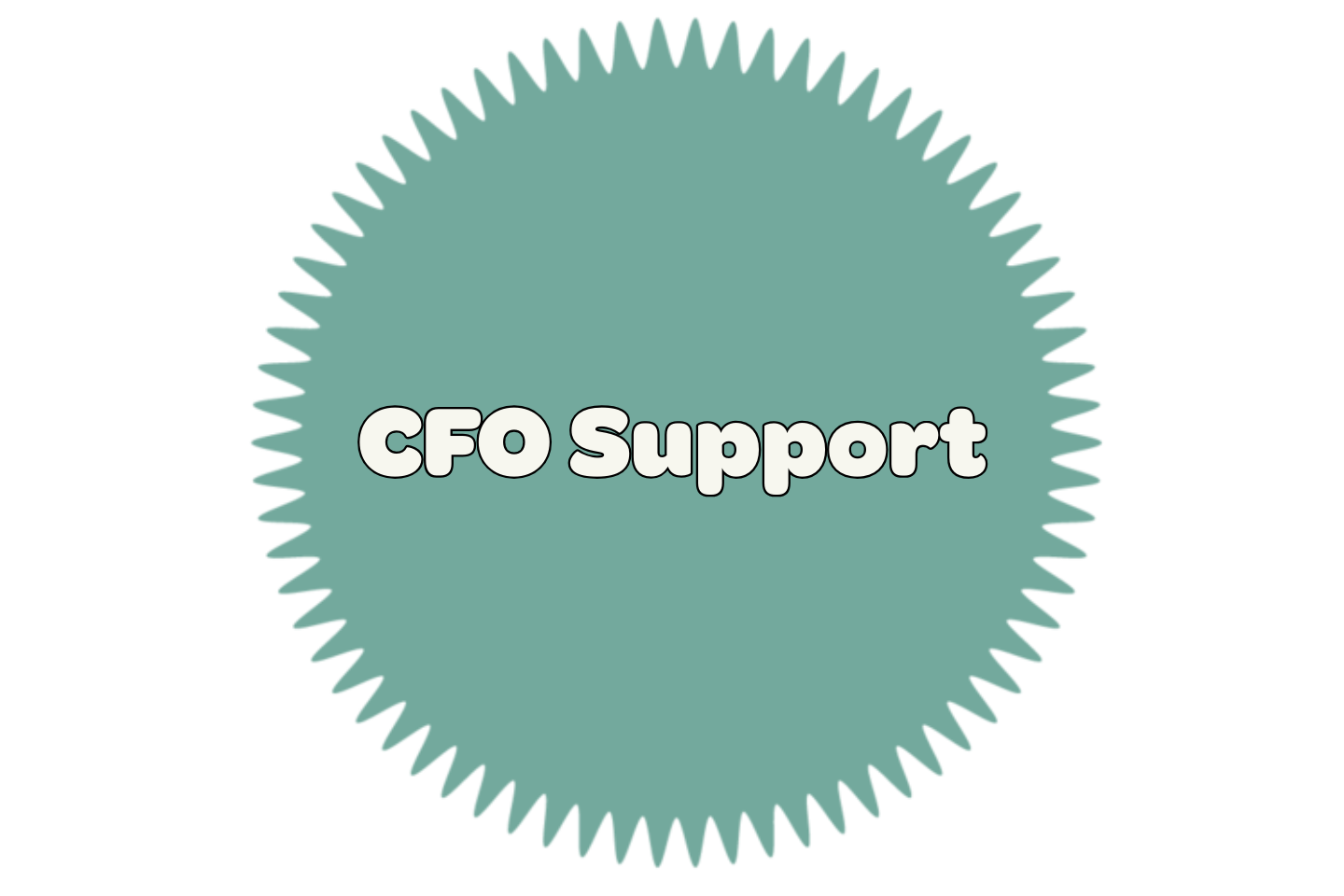 In-house CFOs Need Help Too