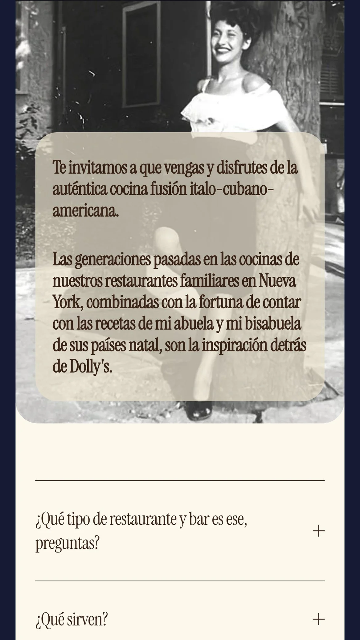 ihm-webstarter-ejemplo-dollys-3.jpg