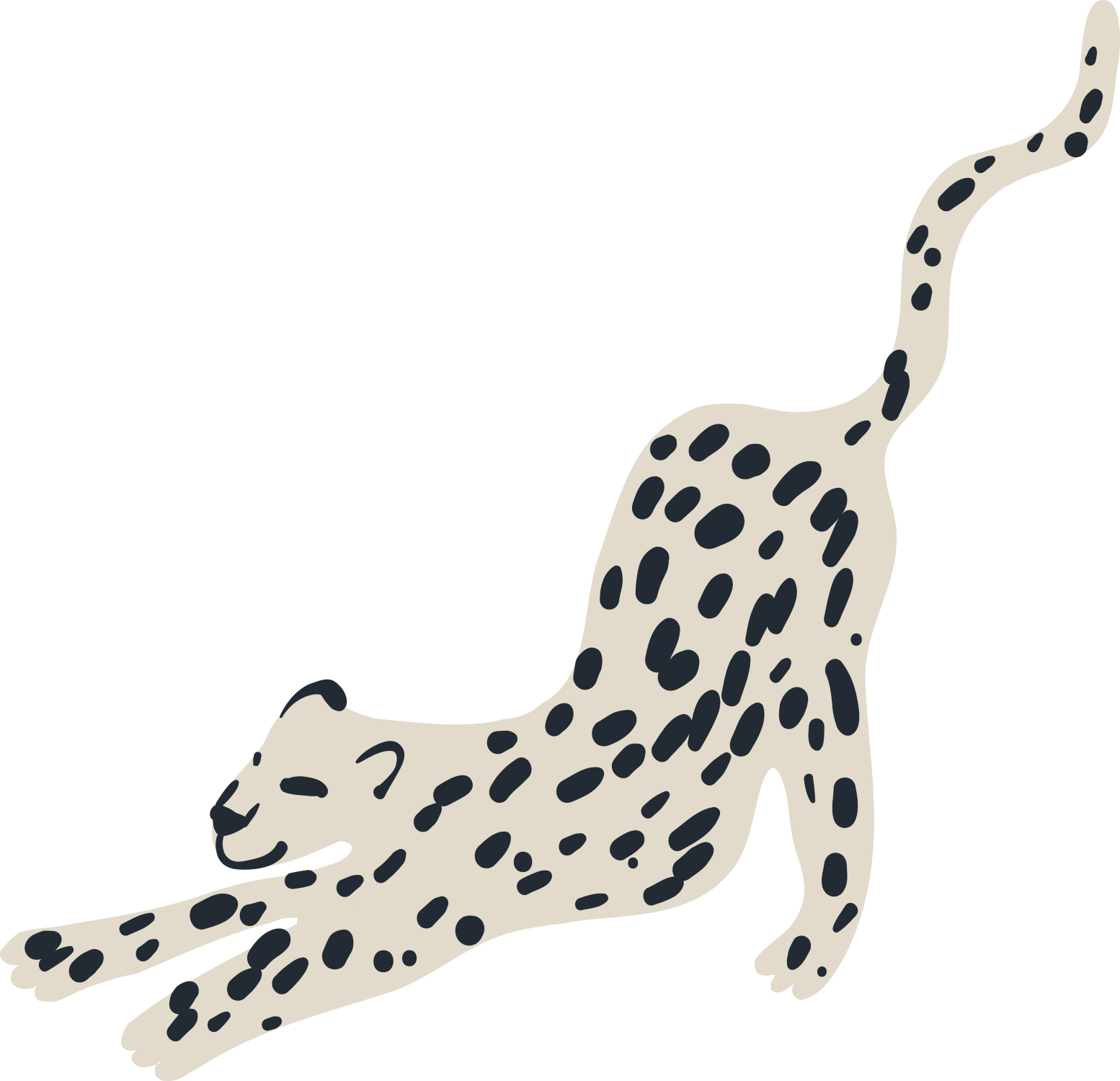 Illustration of a cheetah lying down with its body curved and tail extended, featuring a beige coat with black spots and markings.