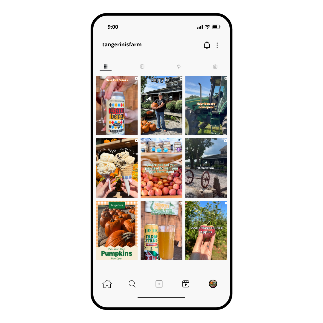 Instagram profile showing fall-themed content related to a farm, including pumpkins, apples, ice cream, and farm stand signs.