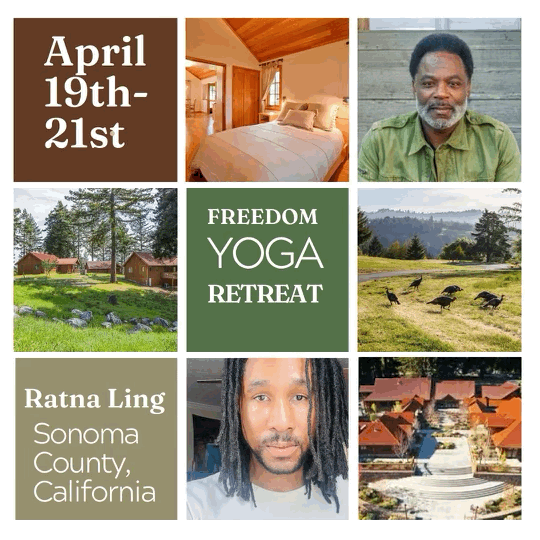 Freedom Yoga Retreat