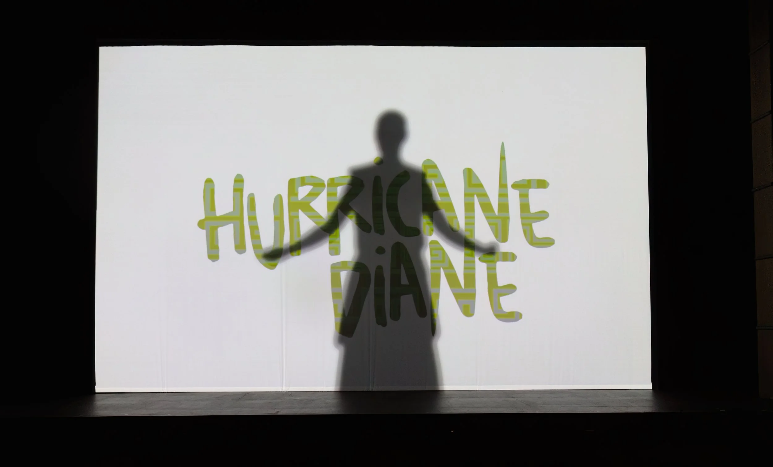 hurricanediane_Fullsize_170.jpeg