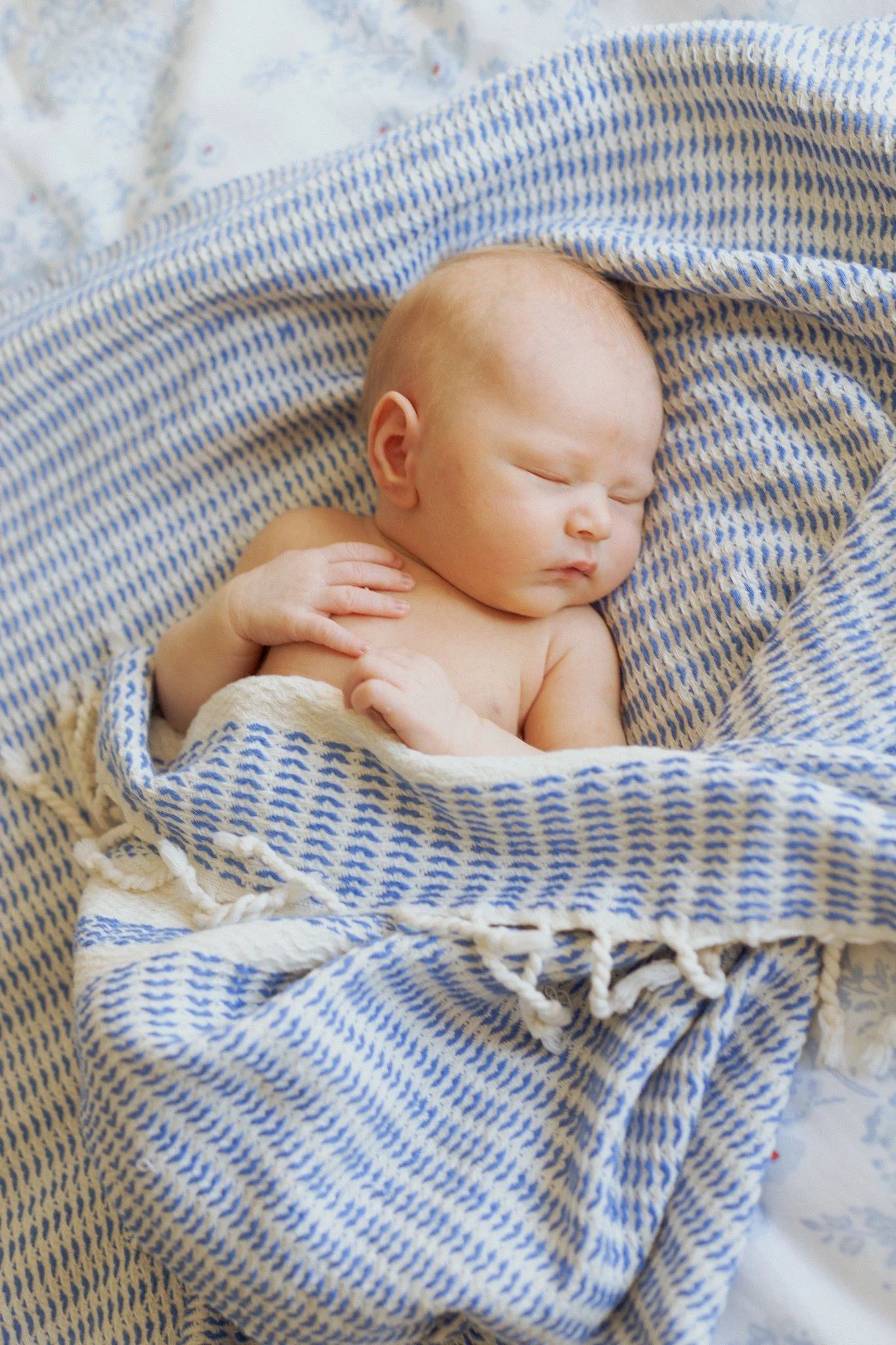 Elisabeth Loomis Photography Los Angeles Family Photographer-56.JPG