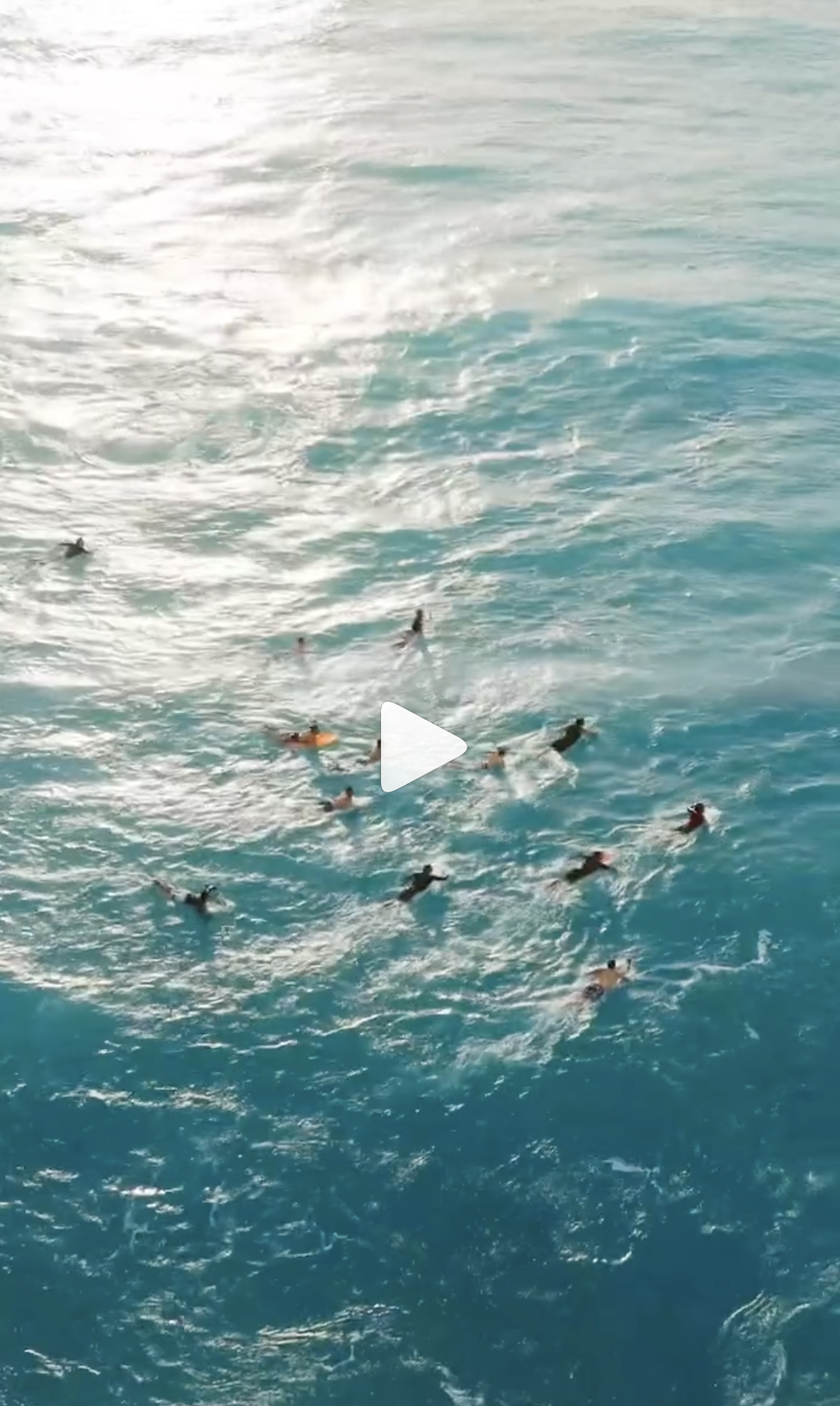 Screenshot 2026-01-09 at 12.03.19 PM.png