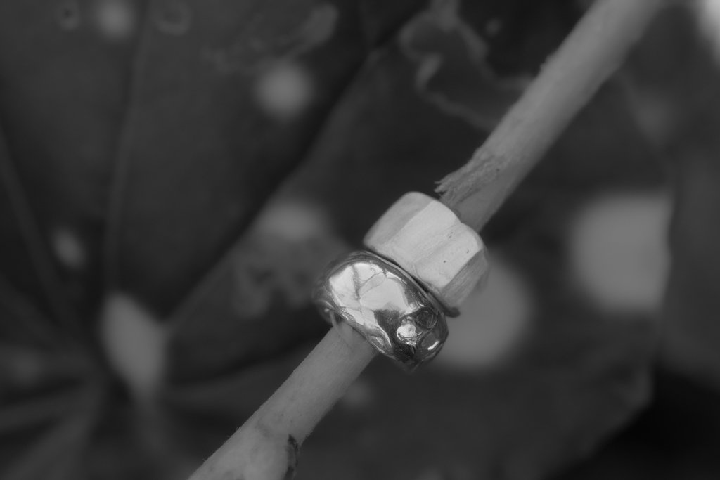 DSCF2901.jpg