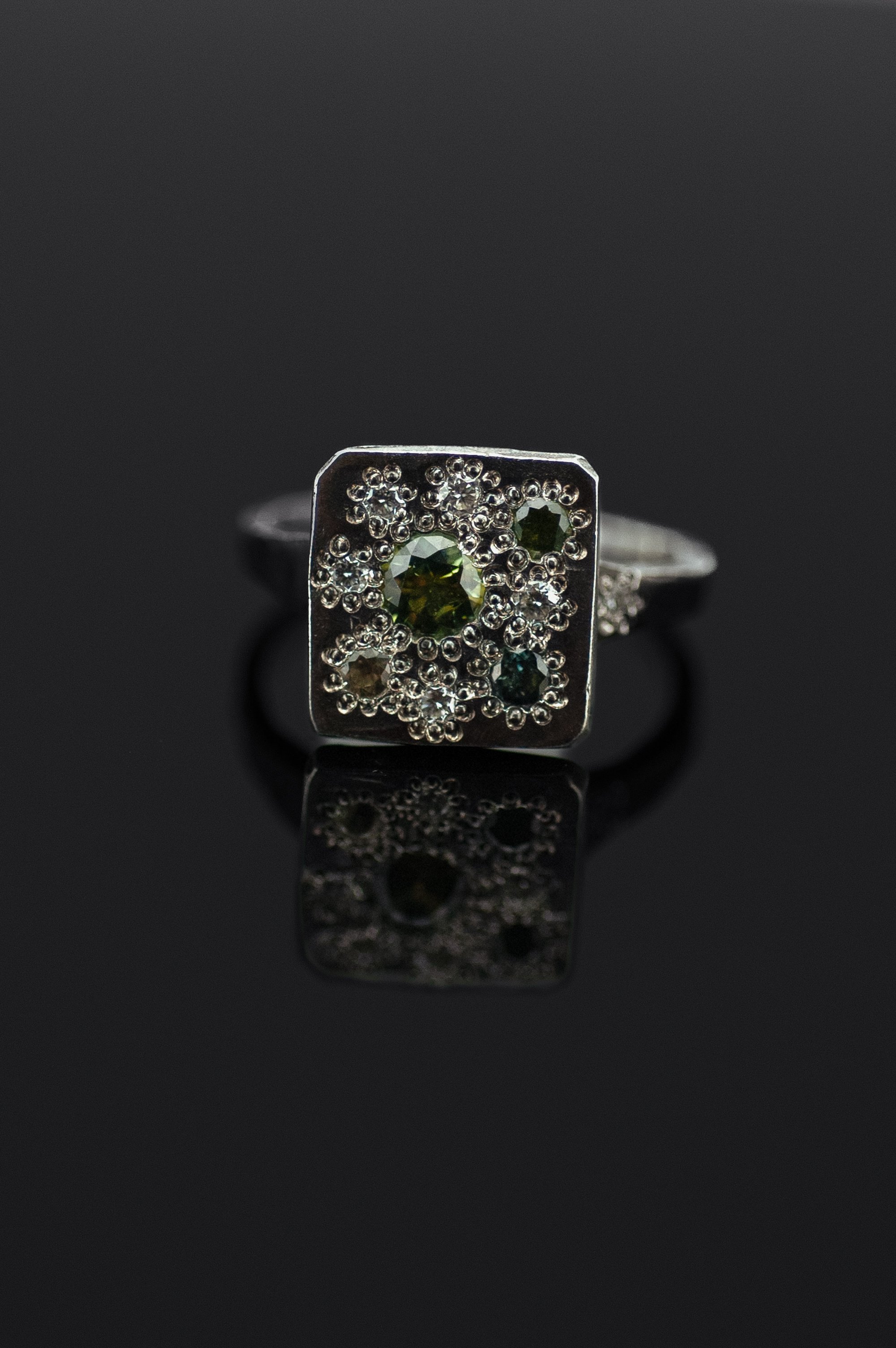 Pond Ring