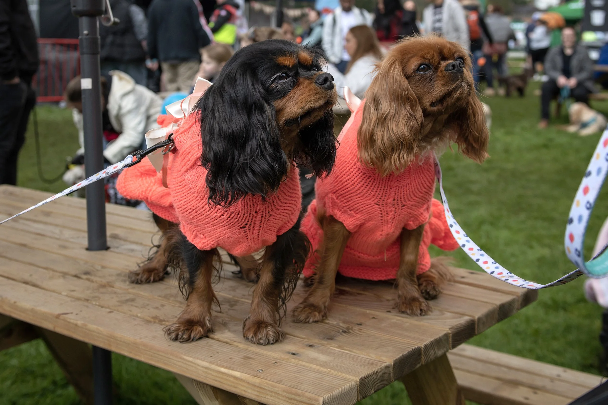 PITP_23 APR 2023_05_S.jpg