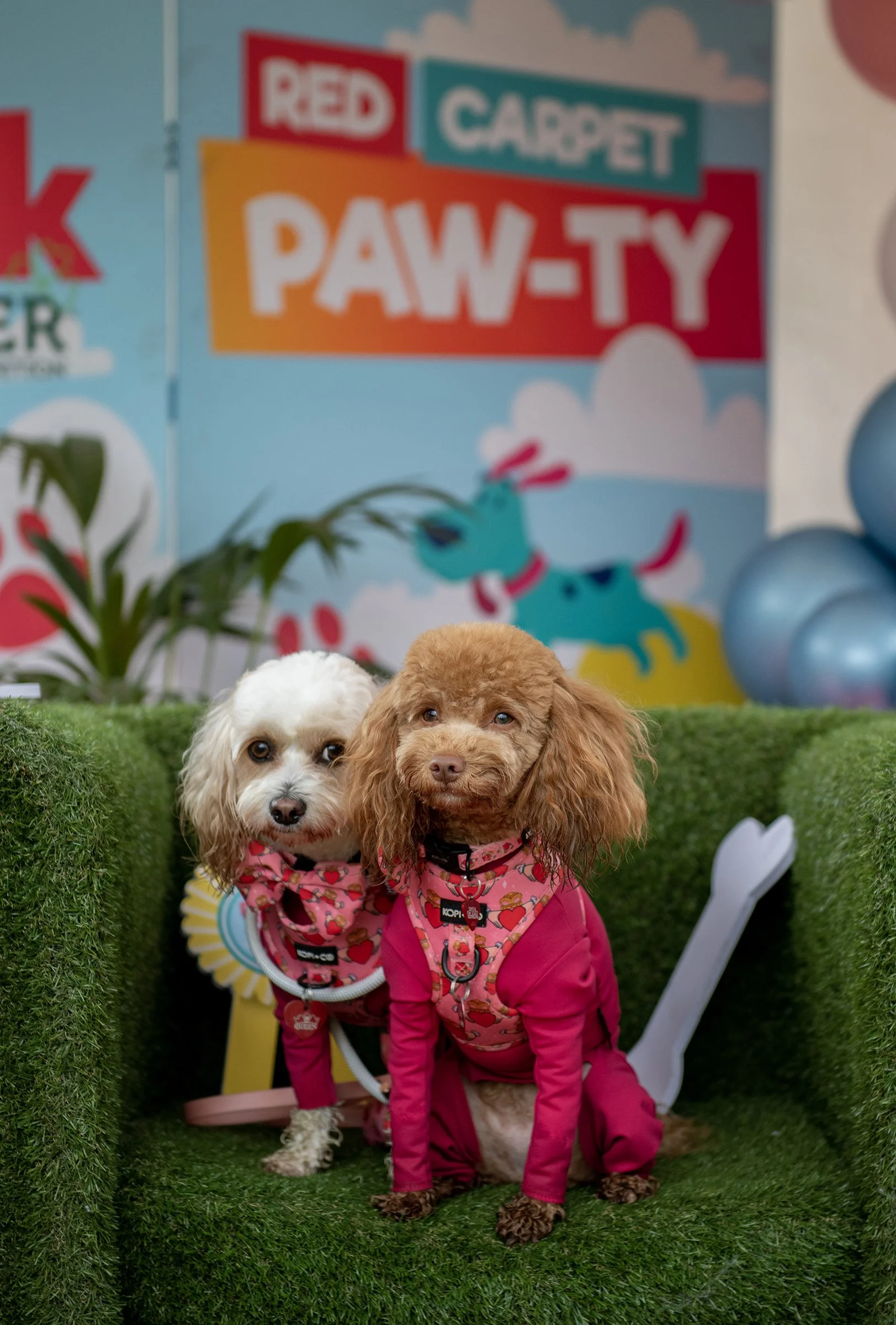 PITP_22 APR 2023_05_S.jpg