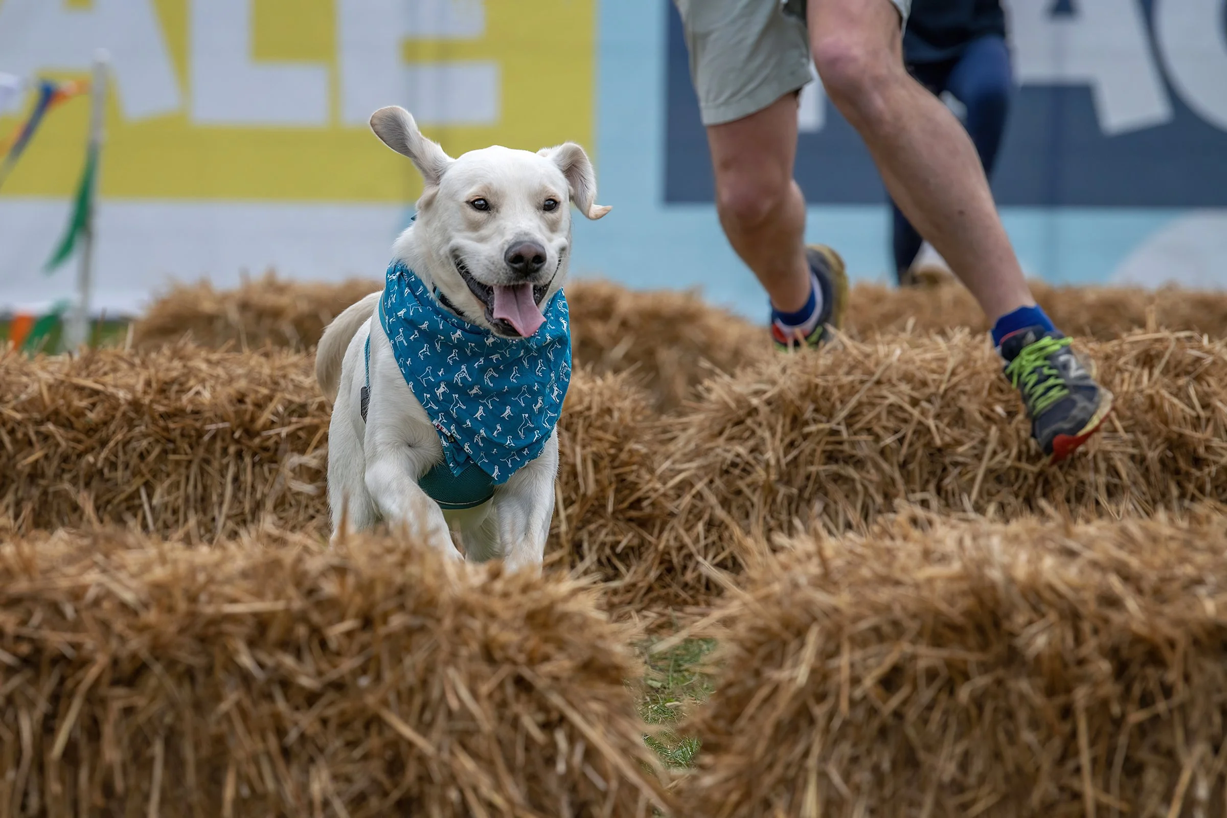 PITP_23 APR 2023_81_S.jpg