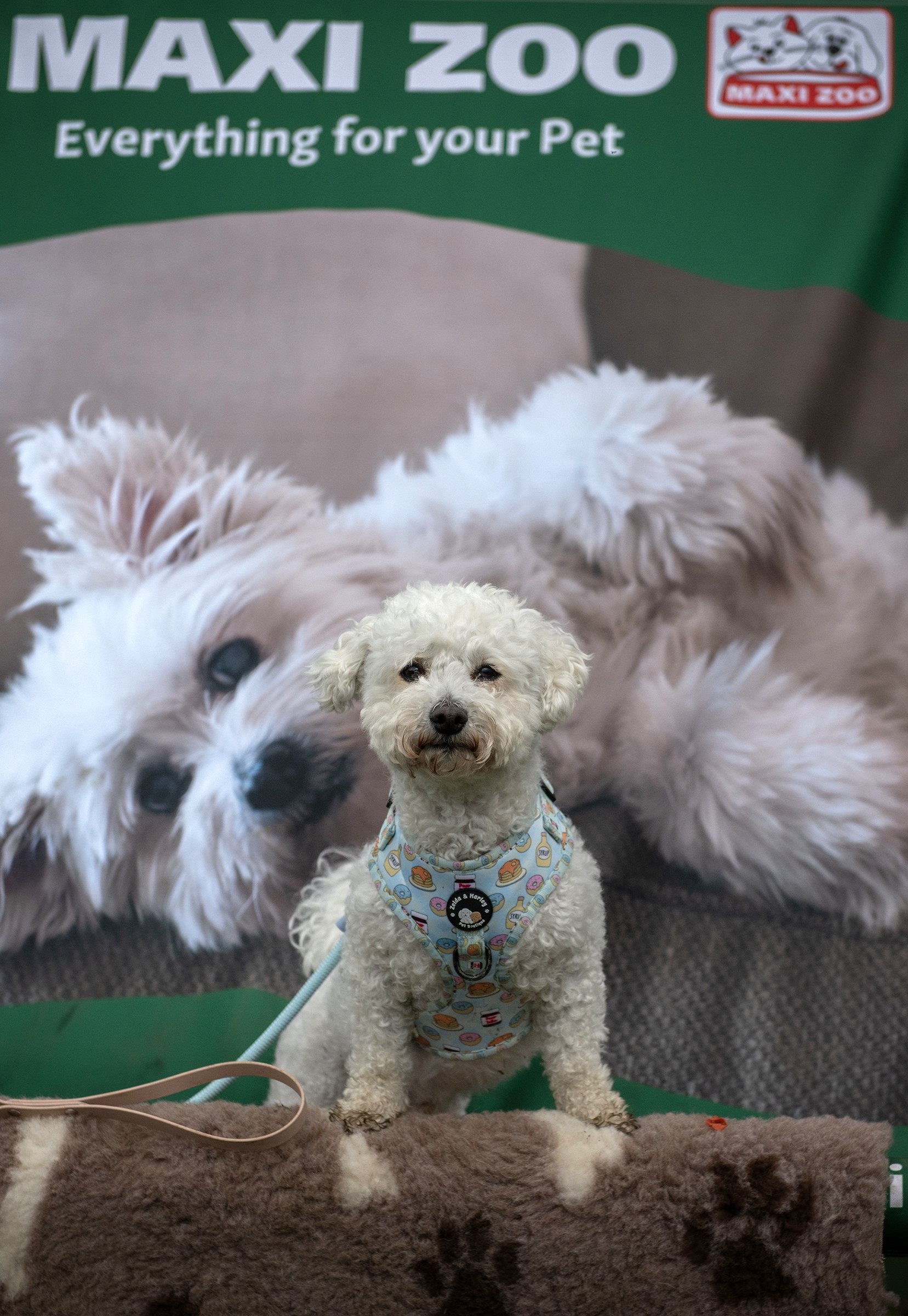 PITP_23 APR 2023_08_S.jpg