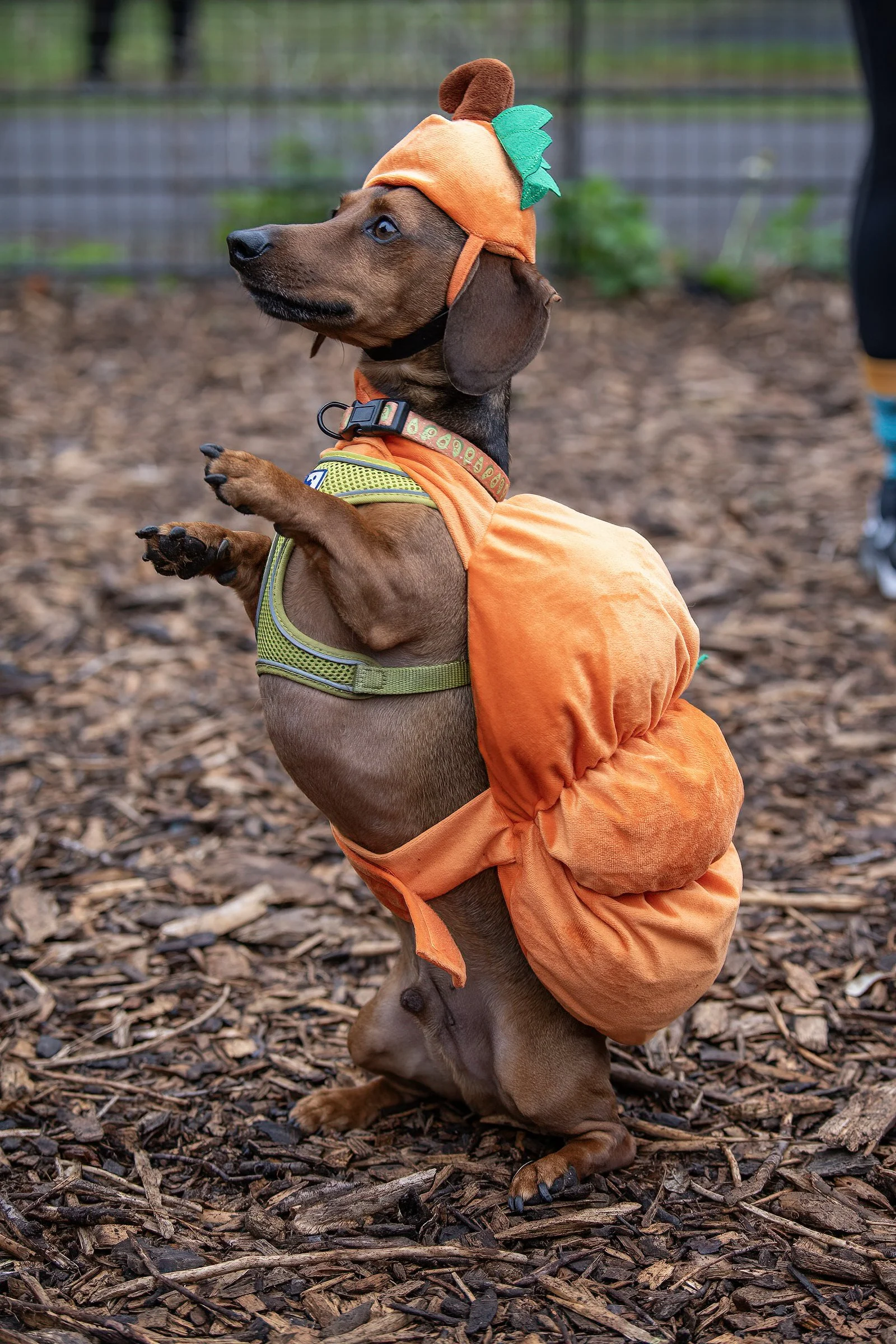 07_SS_OCT 2024_14_S.jpg