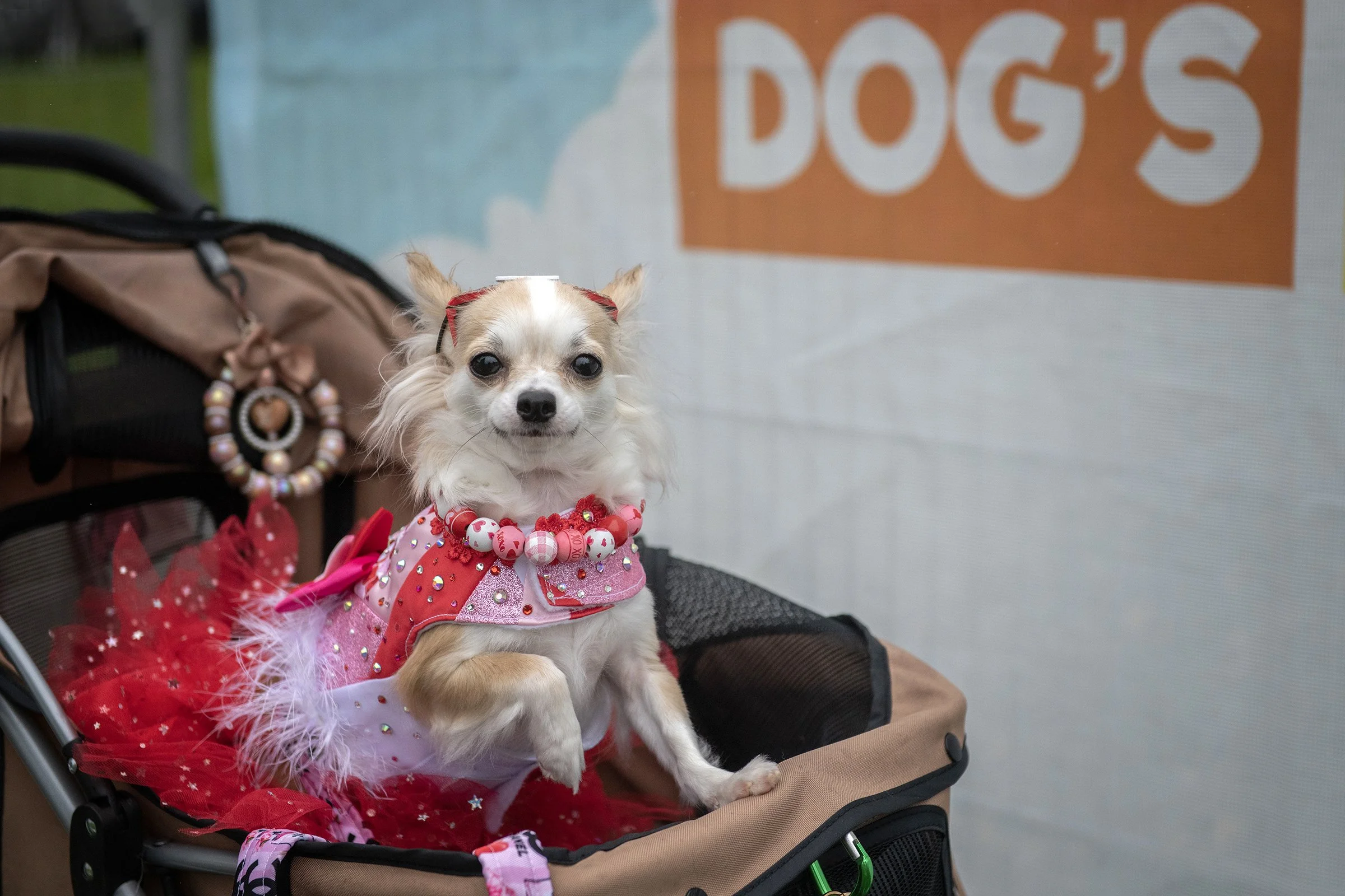 PITP_23 APR 2023_09_S.jpg