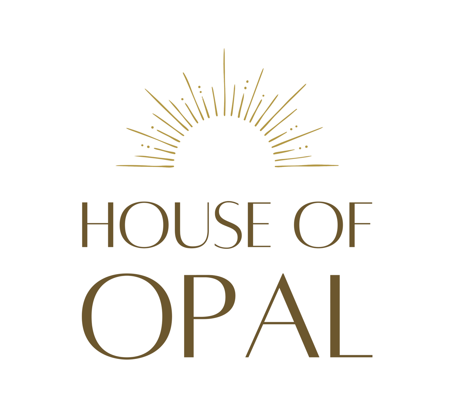 Opal &amp; Onyx Hair Co.