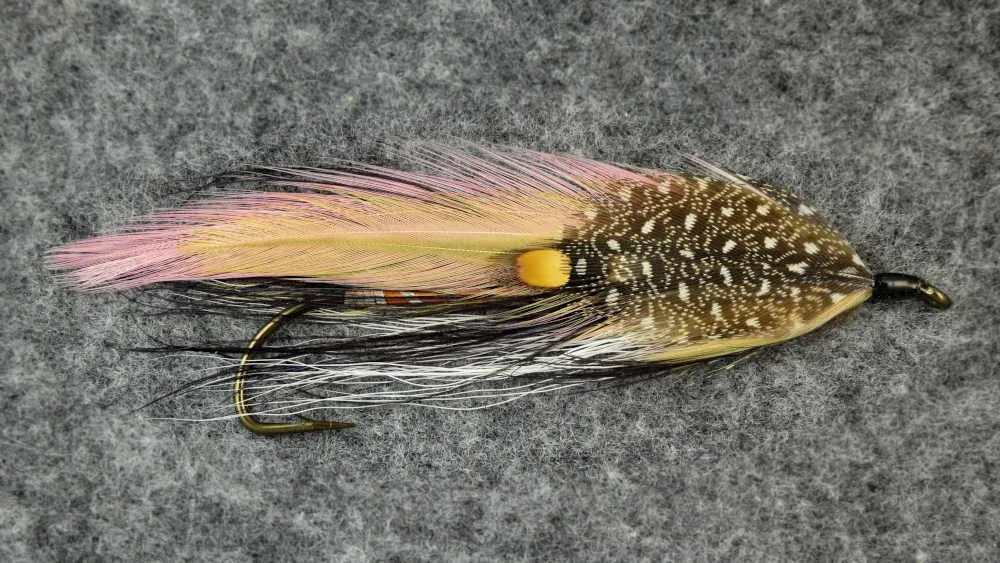 Unnamed Streamer CR-02