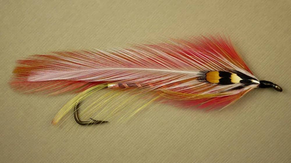 Unnamed Streamer PD-01